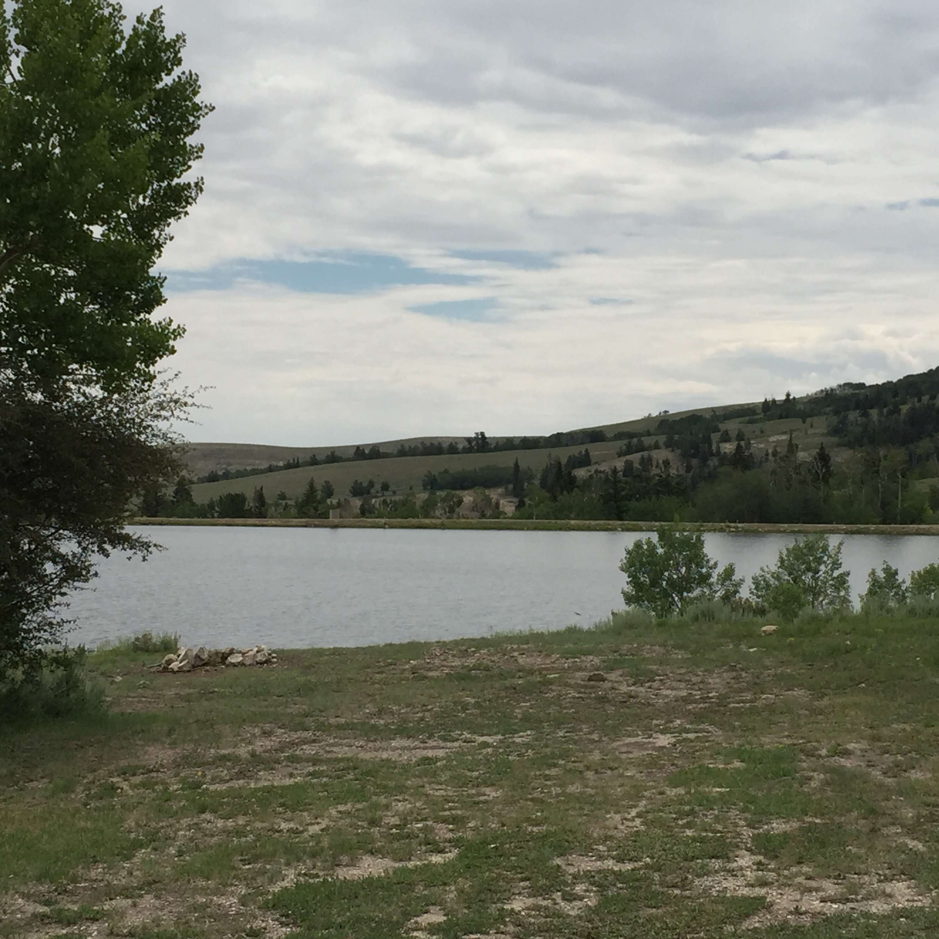 Economic Resources: Land (Part 1) ~ Biz Whip Podcast with Gene Davis and Kyle Lum