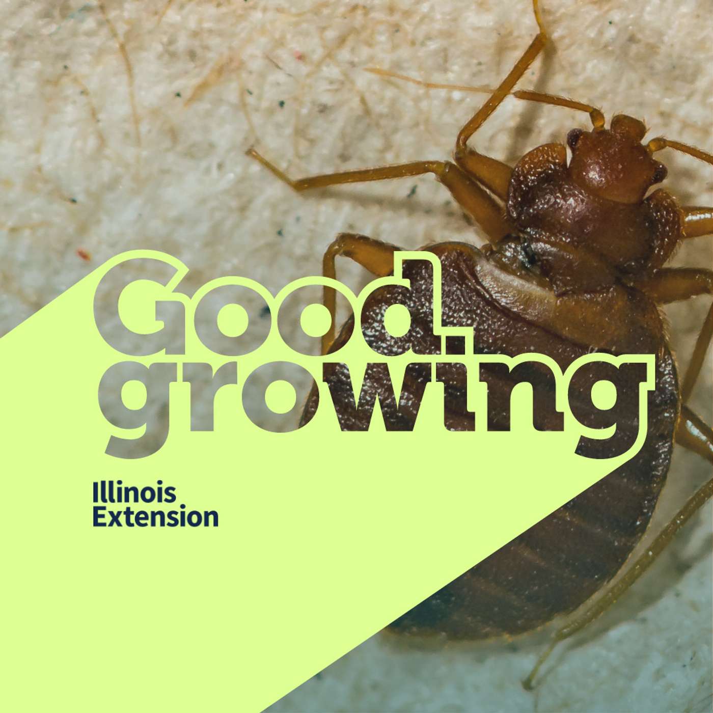 Good Growing