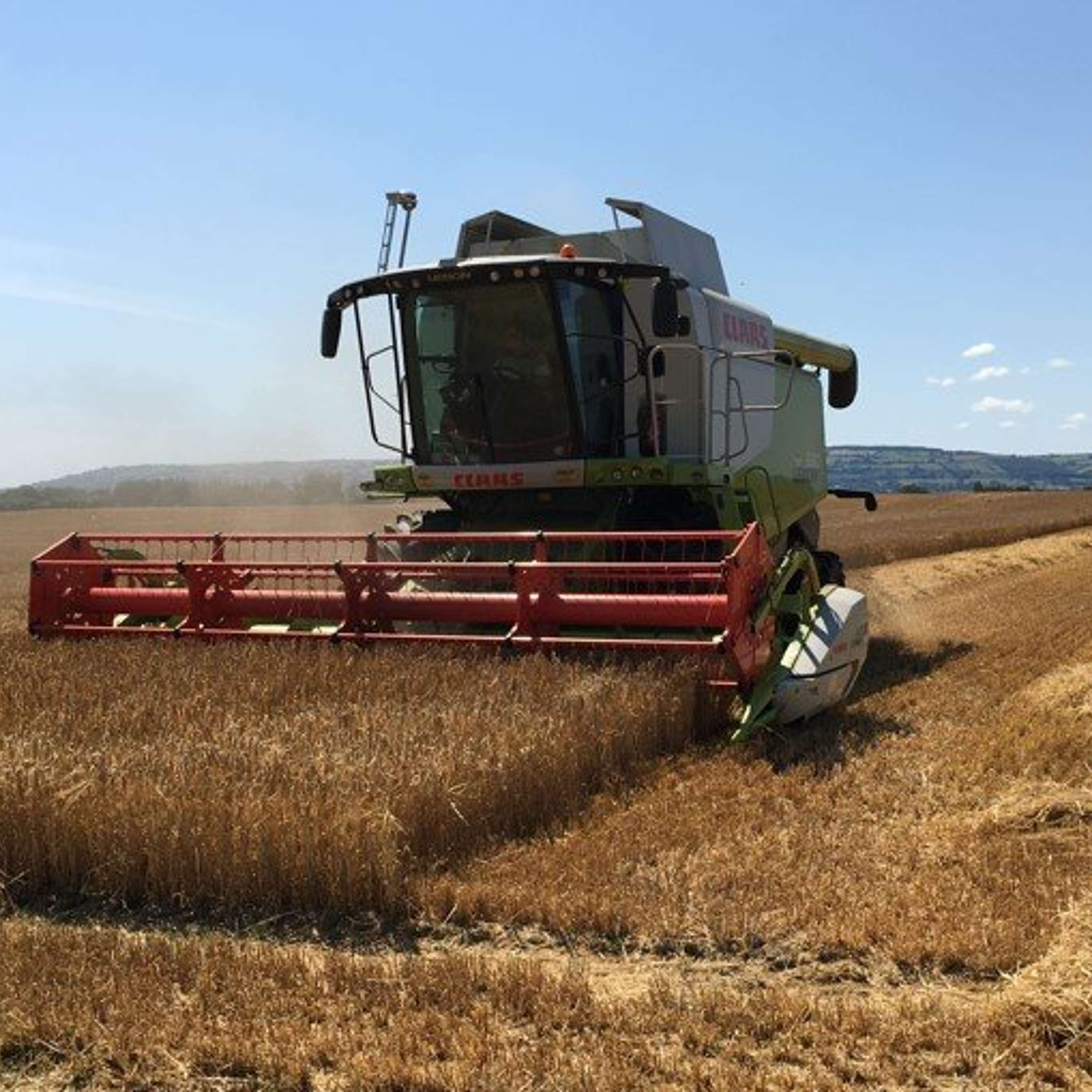 The Tillage Edge