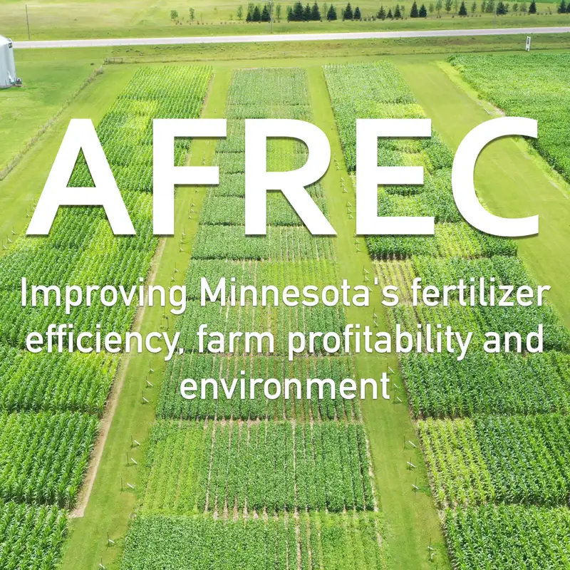 AFREC research roundup: 2023 nutrient management findings