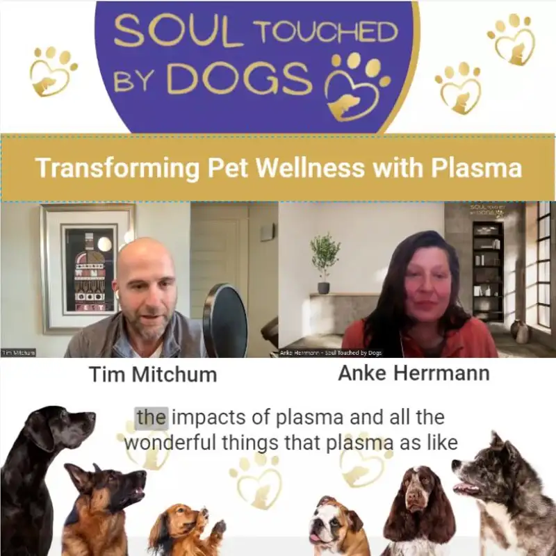 Tim Mitchum - Transforming Pet Wellness with Plasma