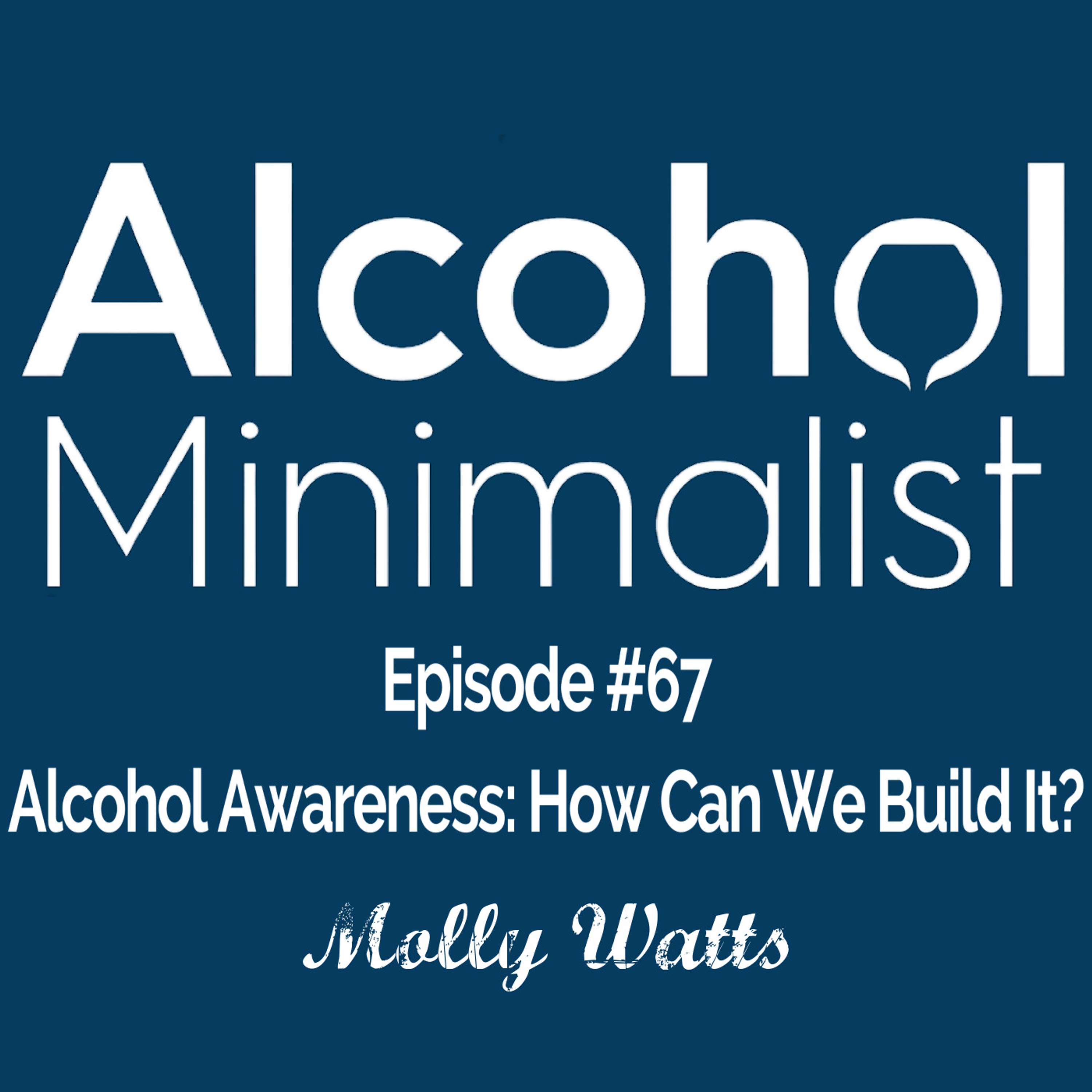 cover of episode Alcohol Awareness: How Can We Build It?