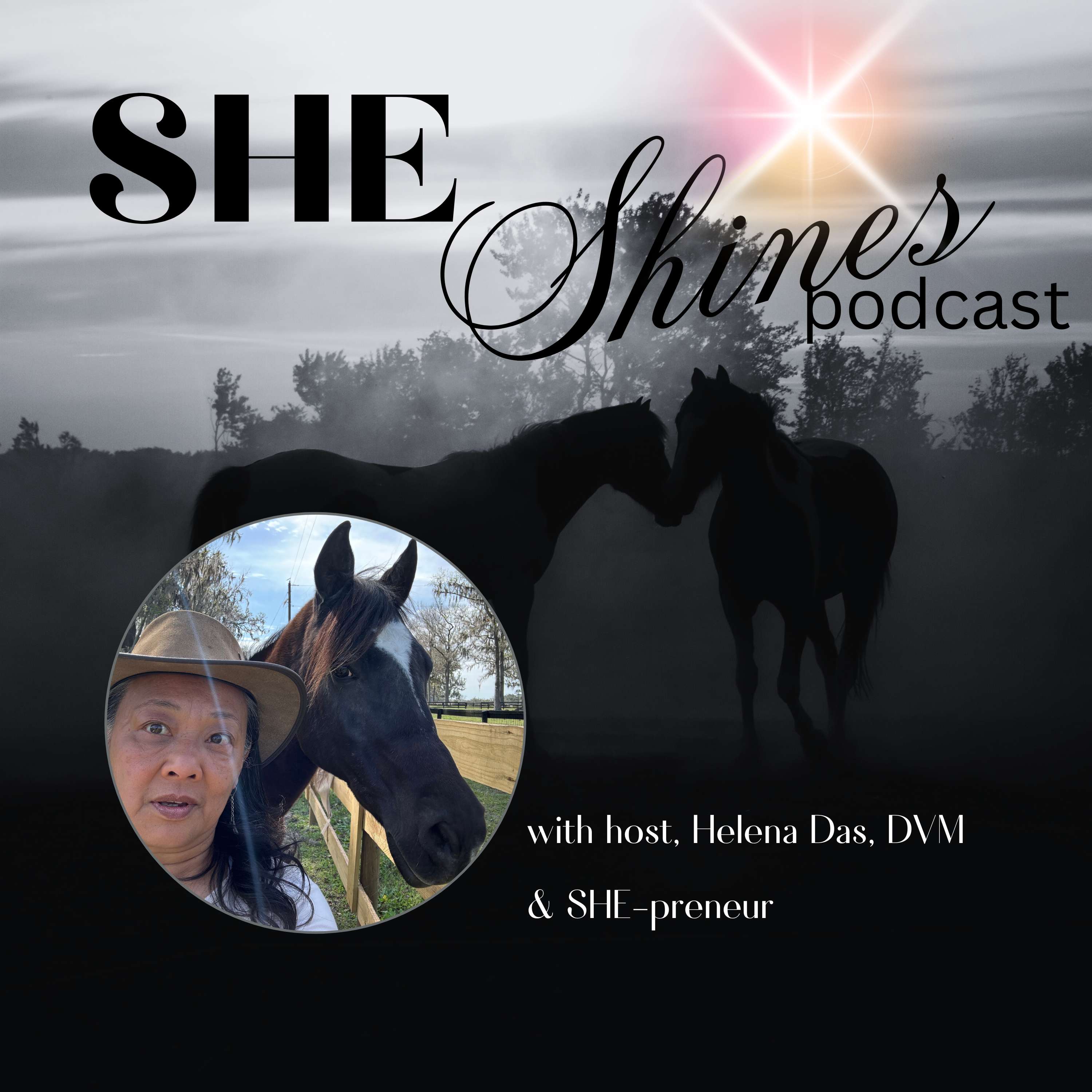 SHE Shines:  Helping \'Dark Horse-preneurs\' Unlock their Light & Get Paid to Shine