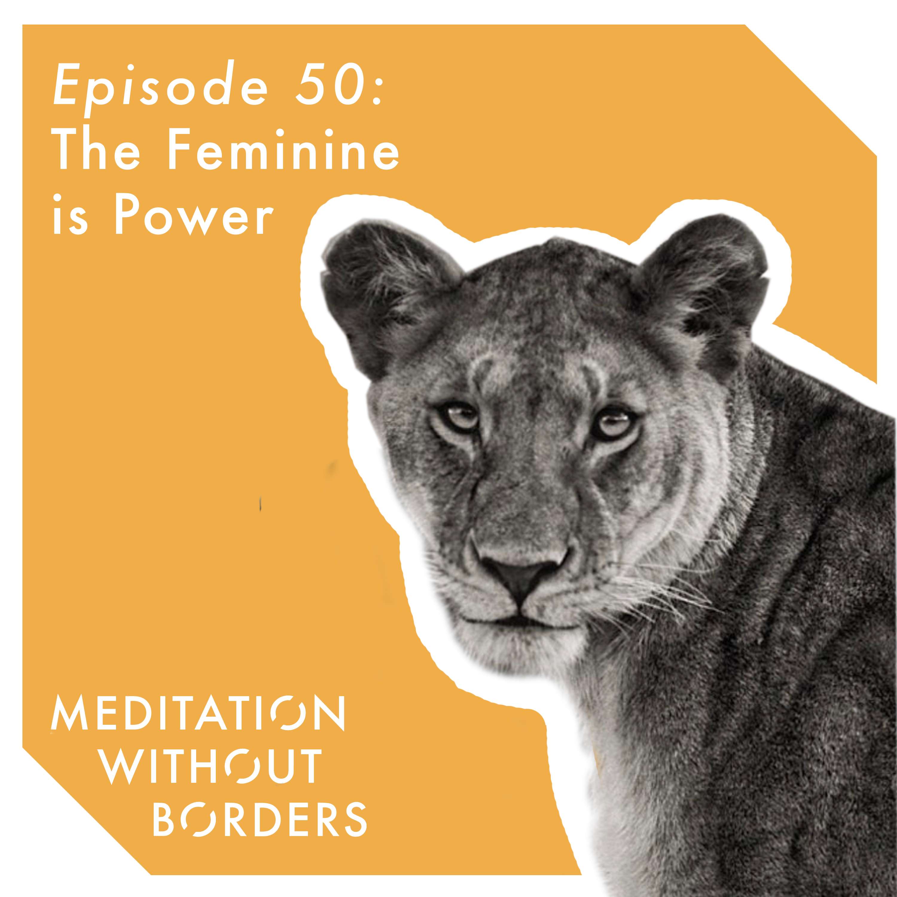 Meditation Without Borders – Being the Change Podcast