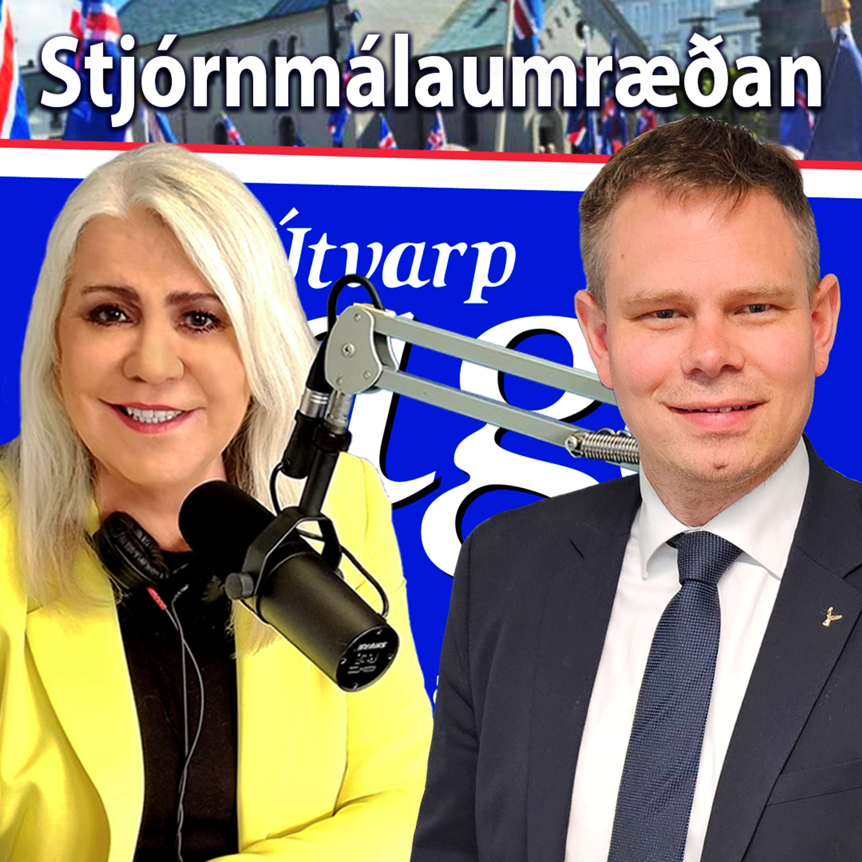 Stjórnmálin