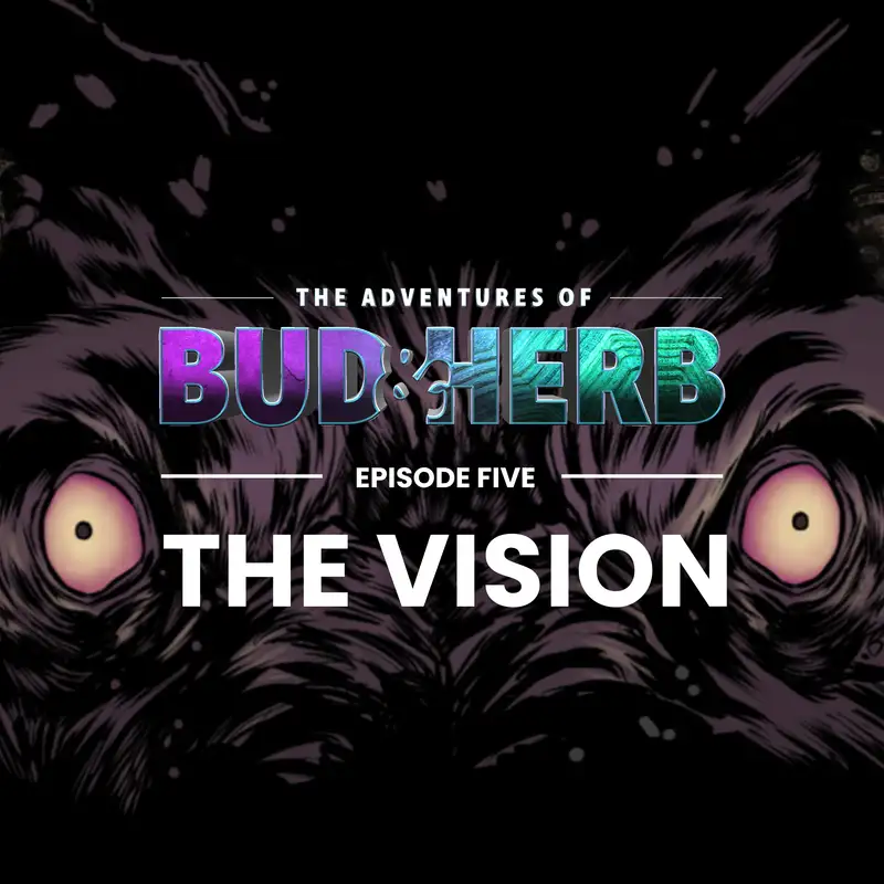 The Vision