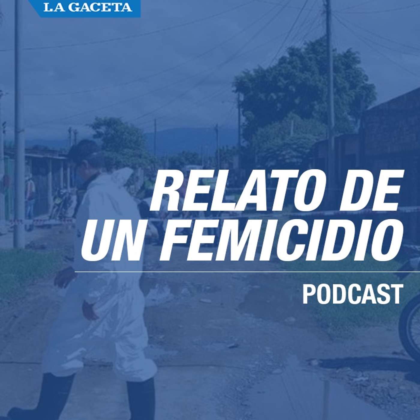 No escucharon sus pedidos de ayuda y fue asesinada por su ex pareja episode artwork