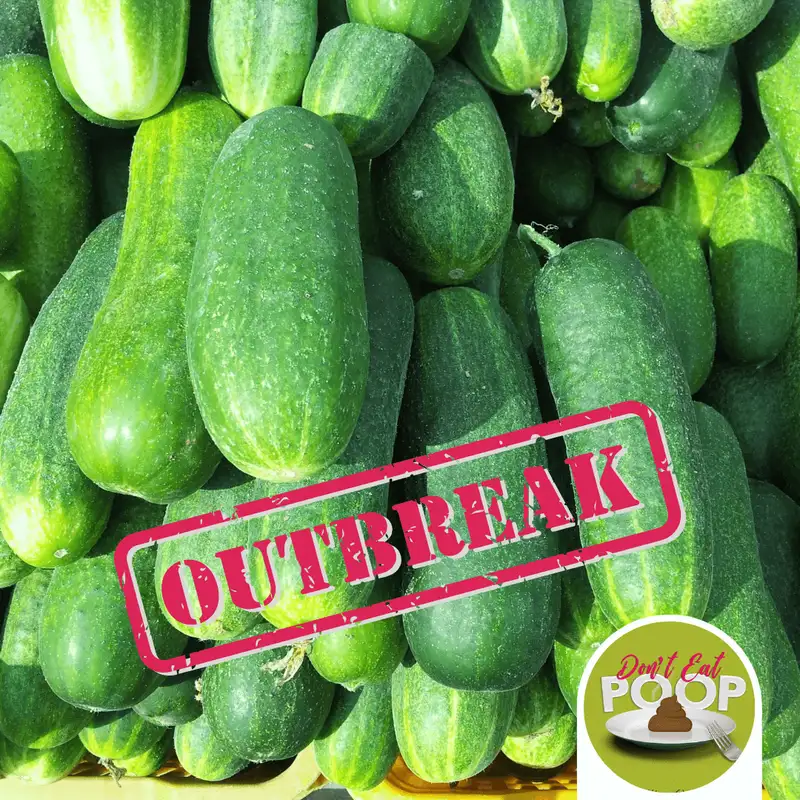 The Cucumber Salmonella Major Outbreak | Episode 68