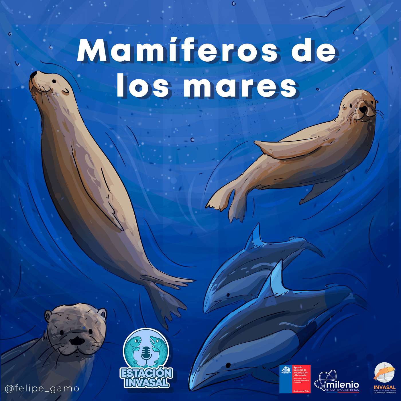 Ep3 - Mamíferos de los mares Ep3 - Mamíferos de los mares