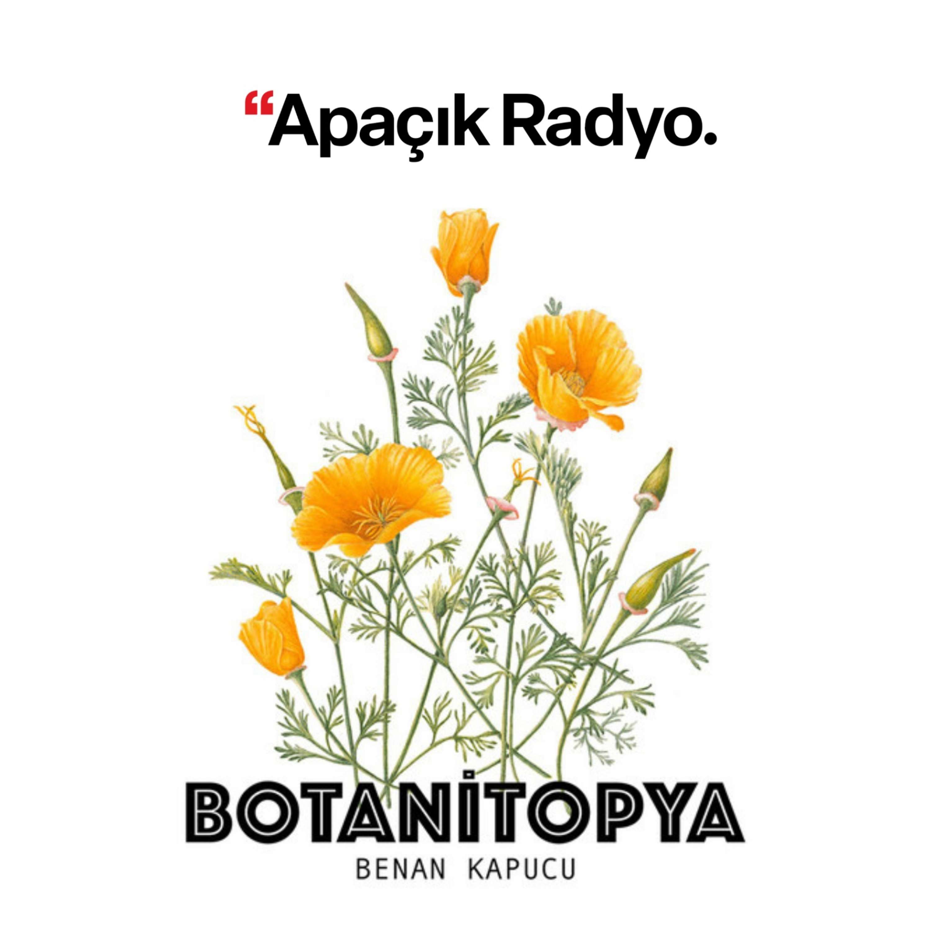 Botanitopya