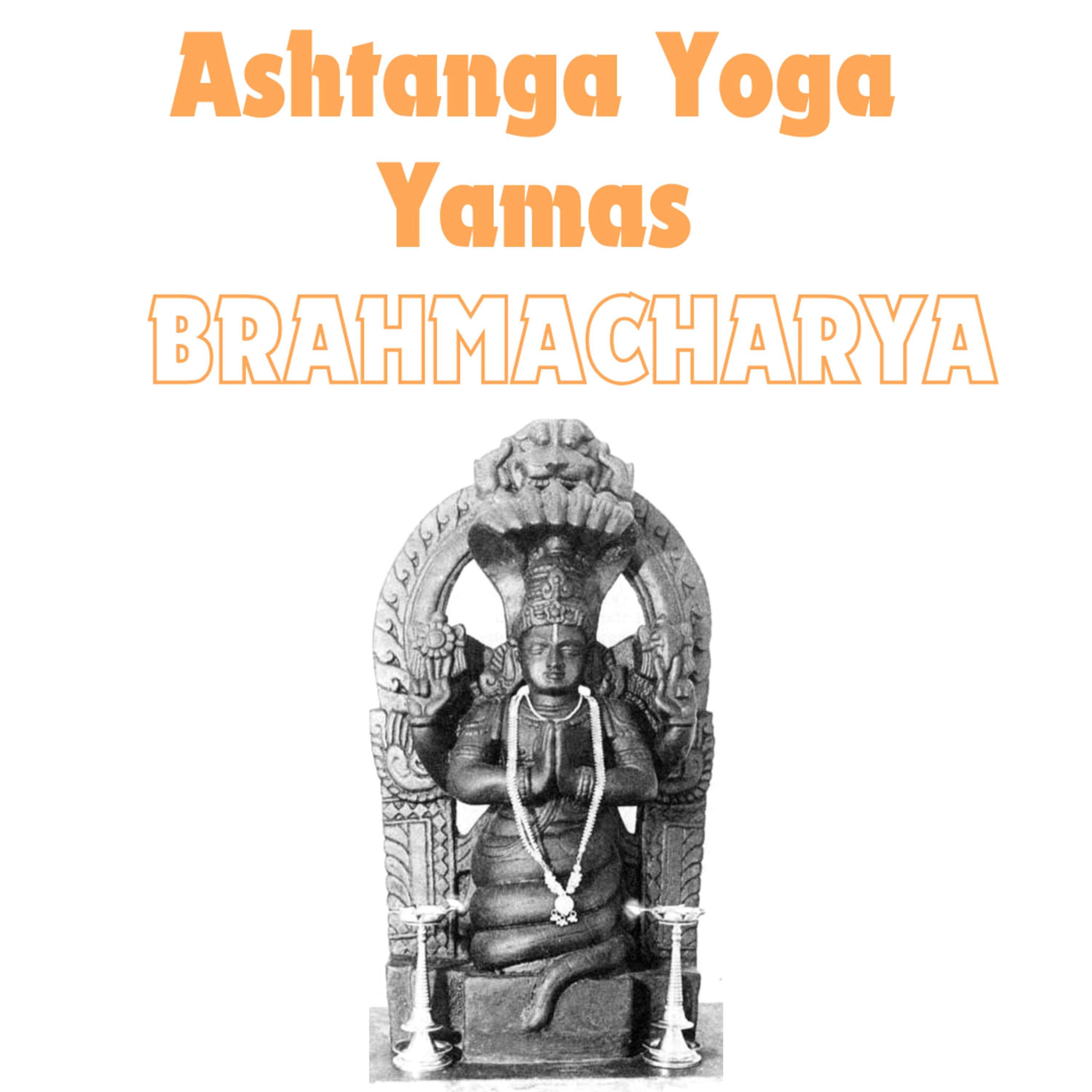 Yoga Connection With Zorananda