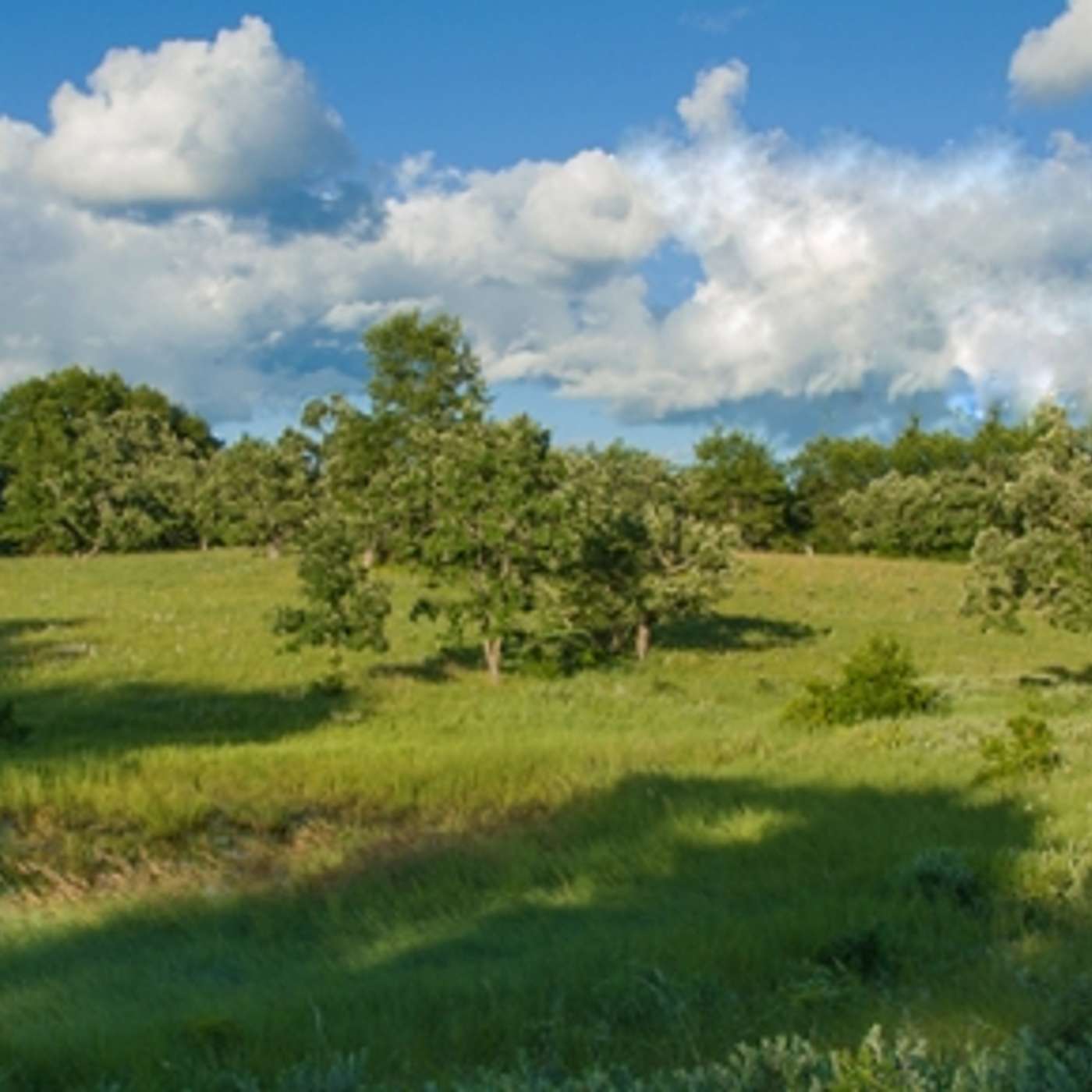 Sherburne National Wildlife Refuge Faces Staffing Cuts; Headlines Affecting Indigenous Minnesotans — Minnesota Native News cover