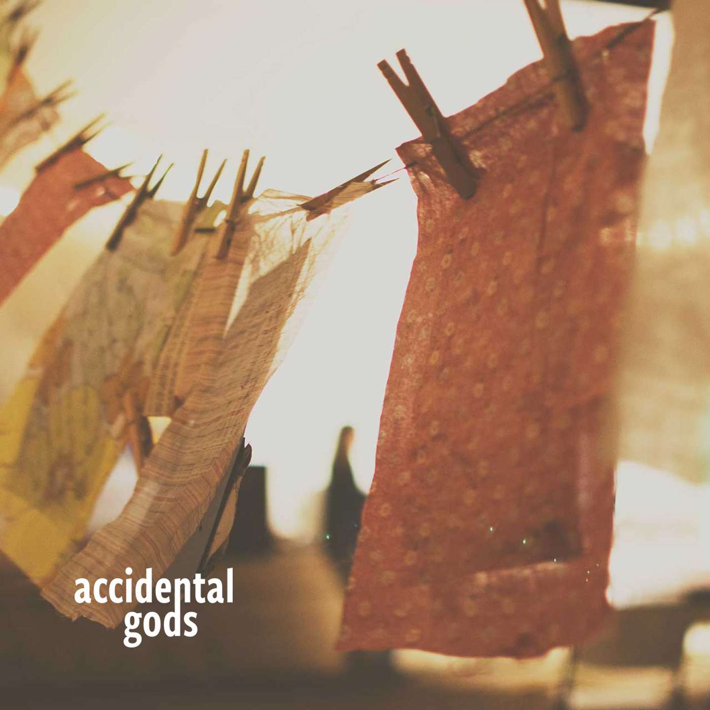 Accidental Gods