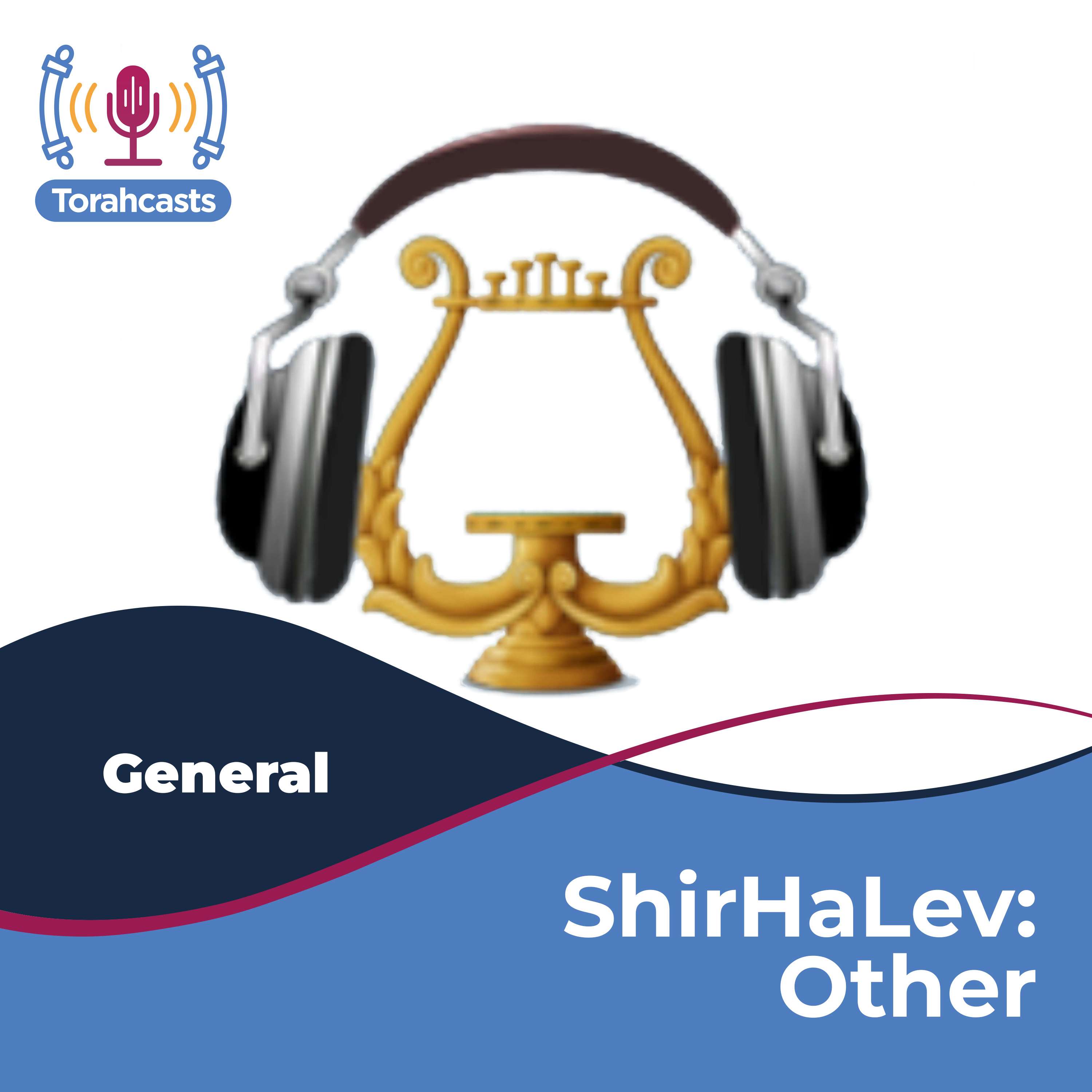 ShirHaLev - Other