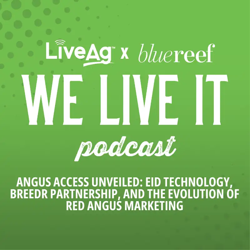 Angus Access Unveiled: EID Technology, Breedr Partnership, and the Evolution of Red Angus Marketing