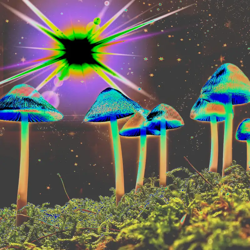 Philosopher Spotlight: Terrence McKenna 