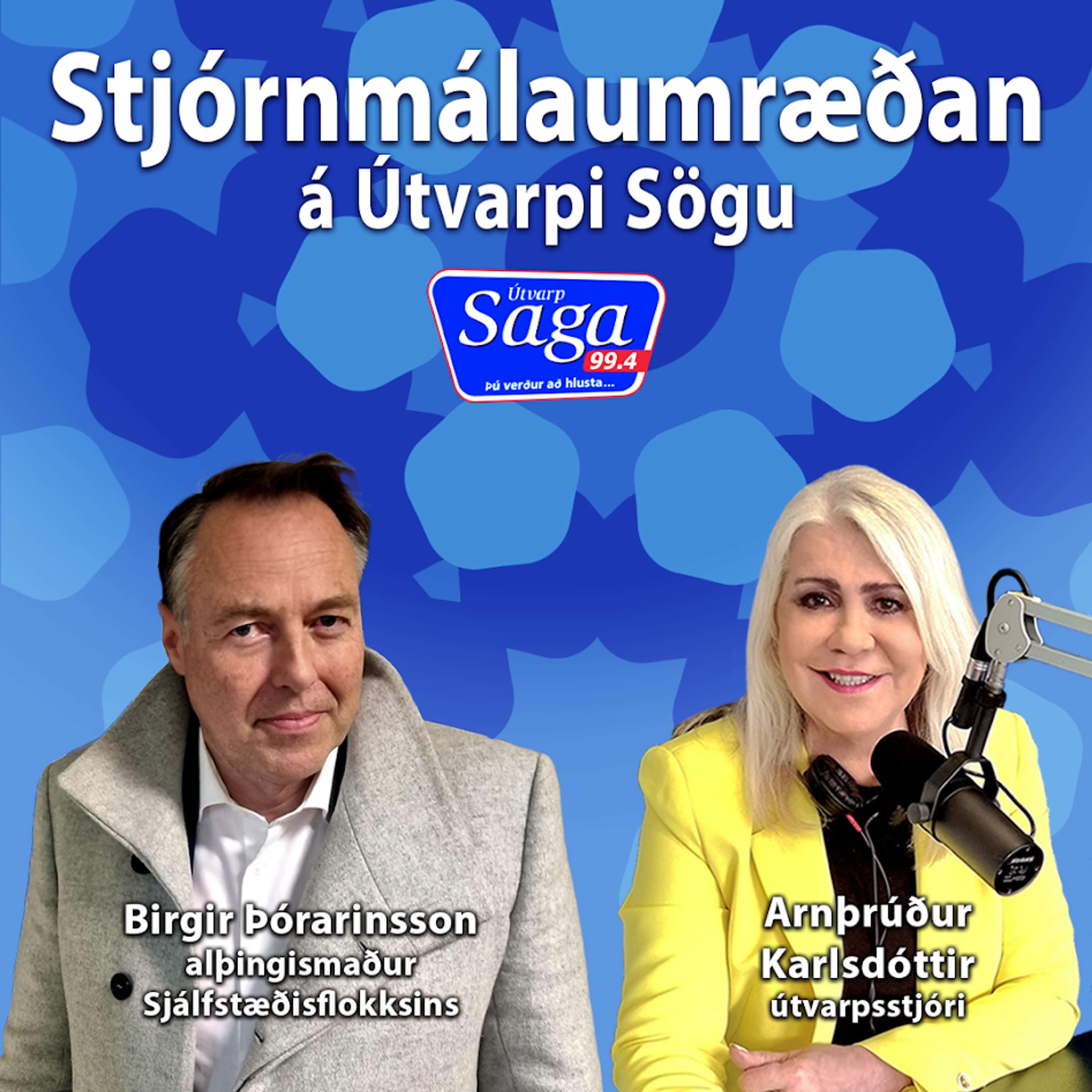 Birgir Þórarinsson & stjórnmála- og öryggisnefnd ÖSE