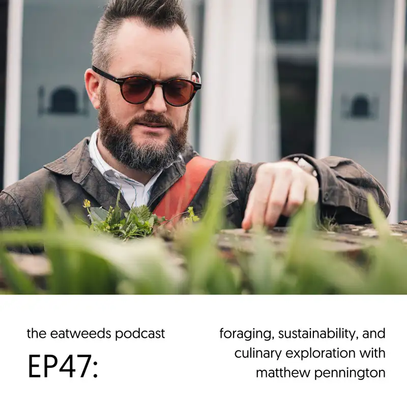 EP47: Foraging, Sustainability and Culinary Exploration with Matthew Pennington