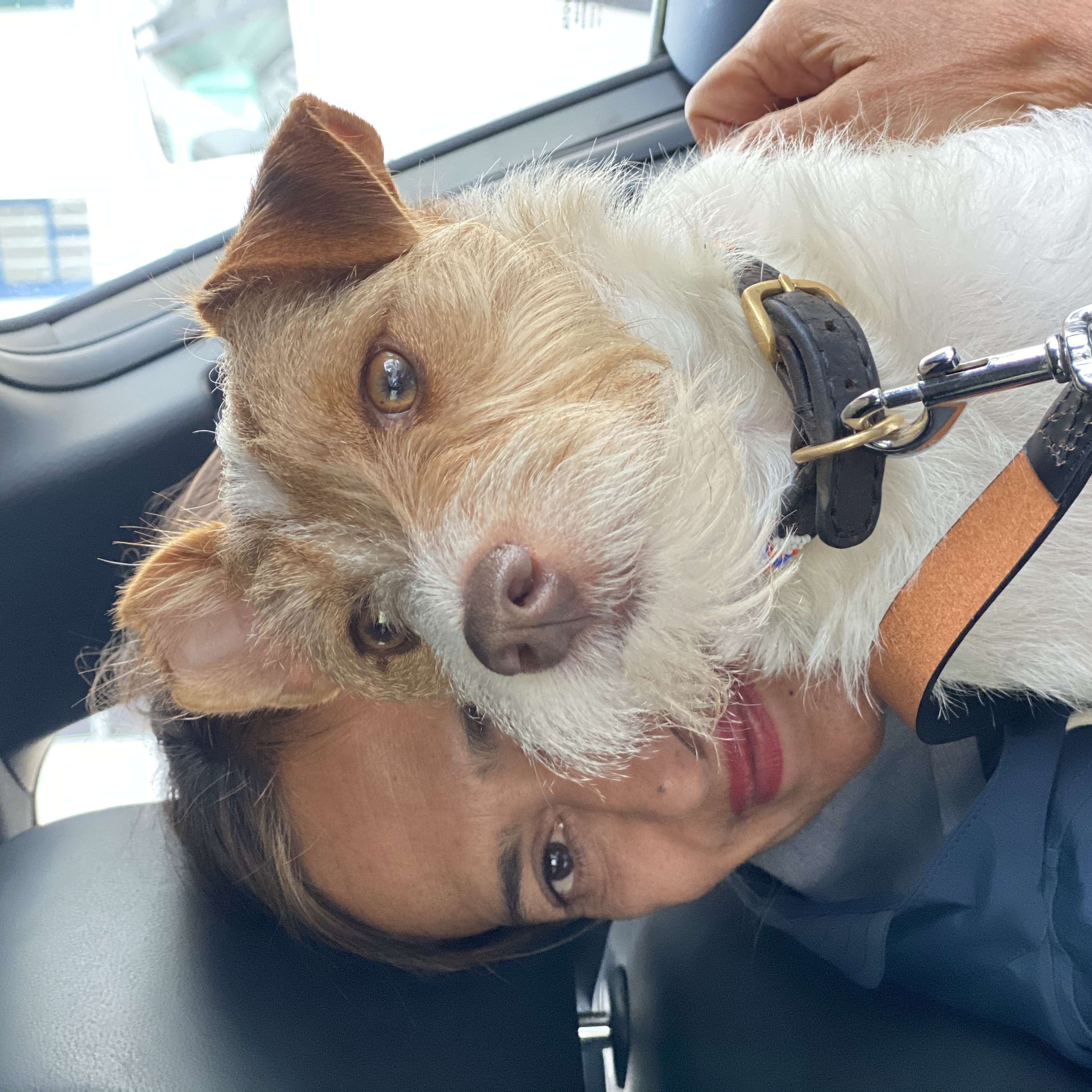 In Conversation with My Owner
