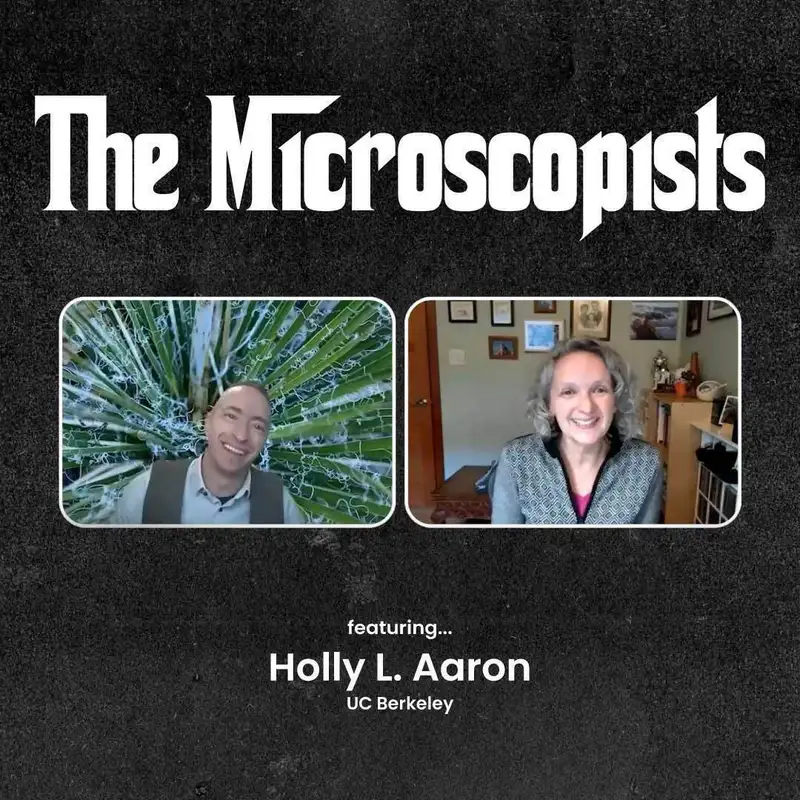 Holly L. Aaron (UC Berkeley)
