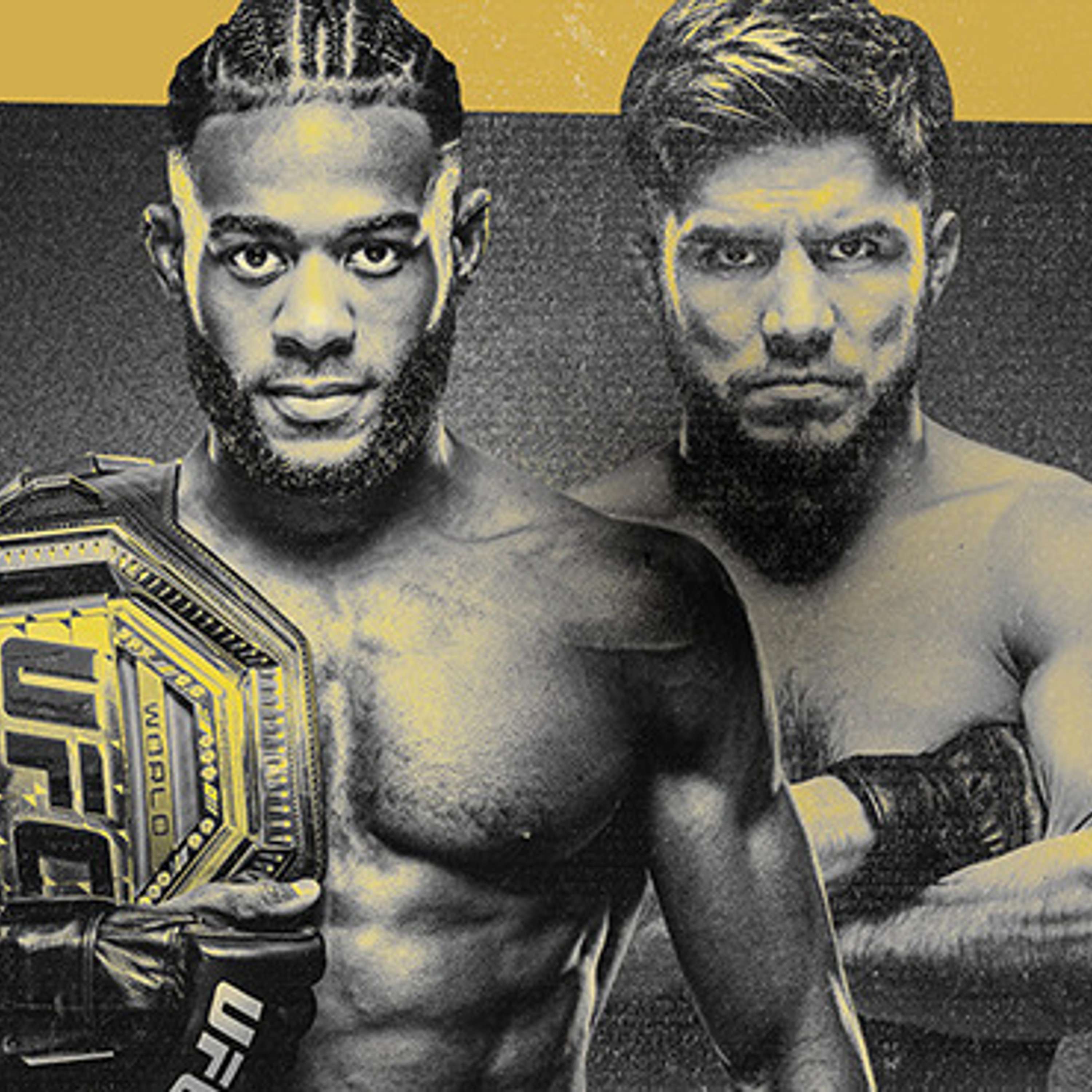 The 411 Ground and Pound MMA Podcast
