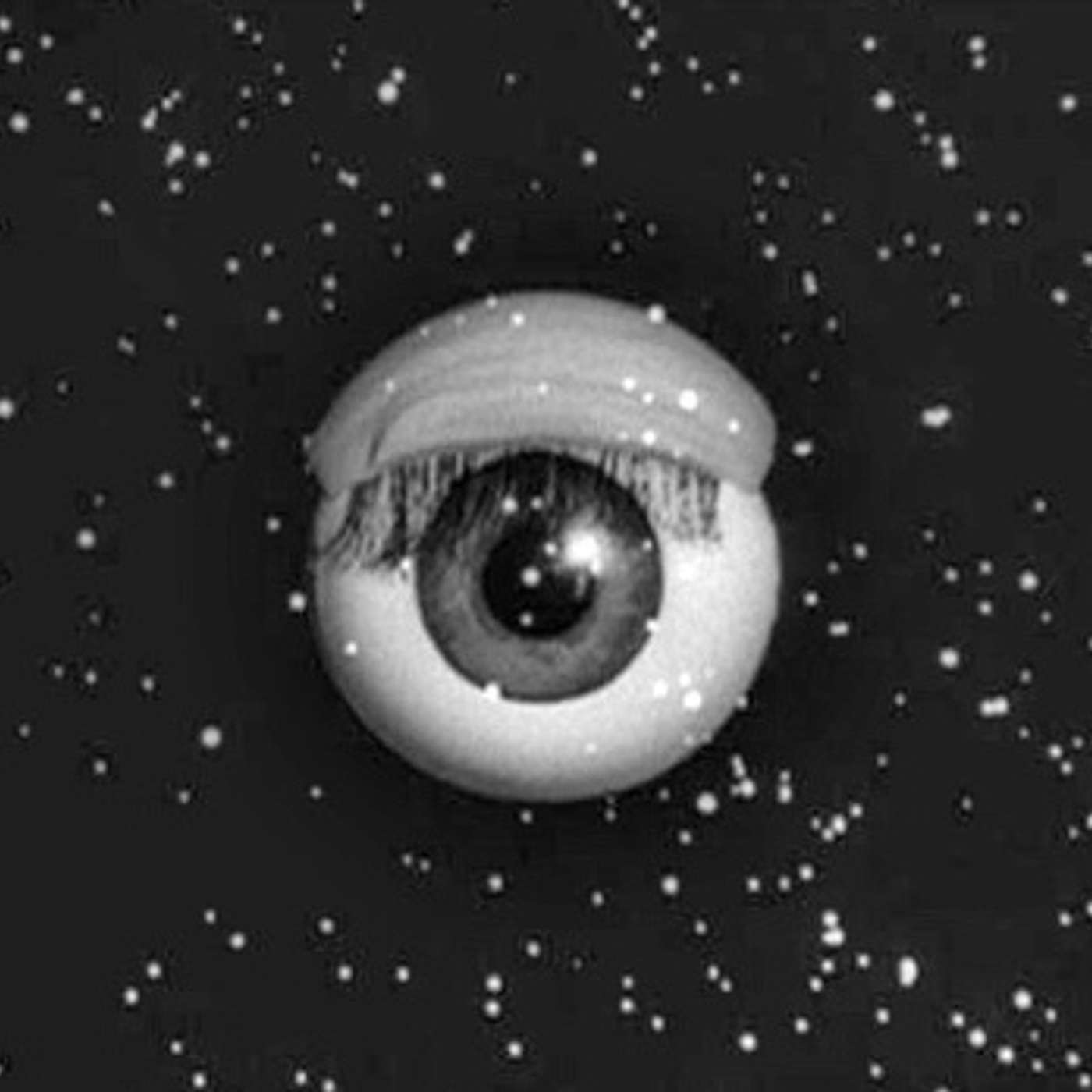 Entering the Twilight Zone with Barbara Fisher