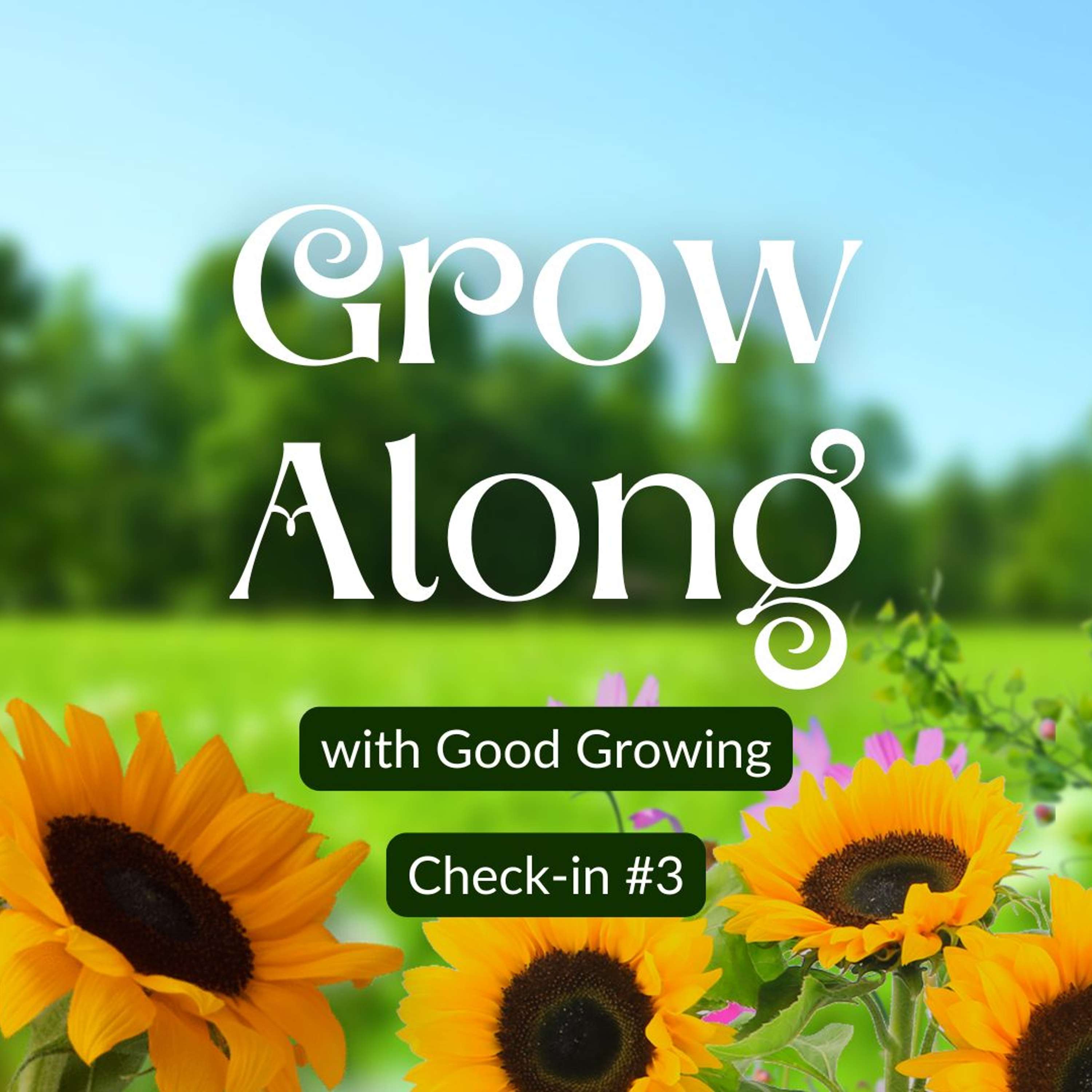 Good Growing Grow Along final check-in for 2024 | #GoodGrowing