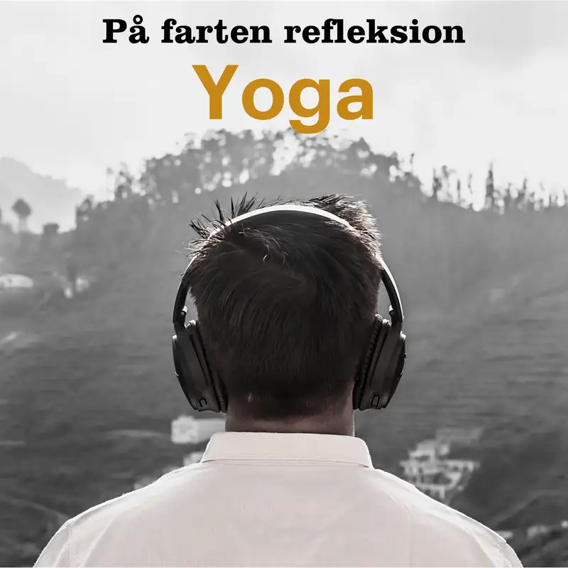 08. Yoga - Tadasana - Stå stærkt som et bjerg