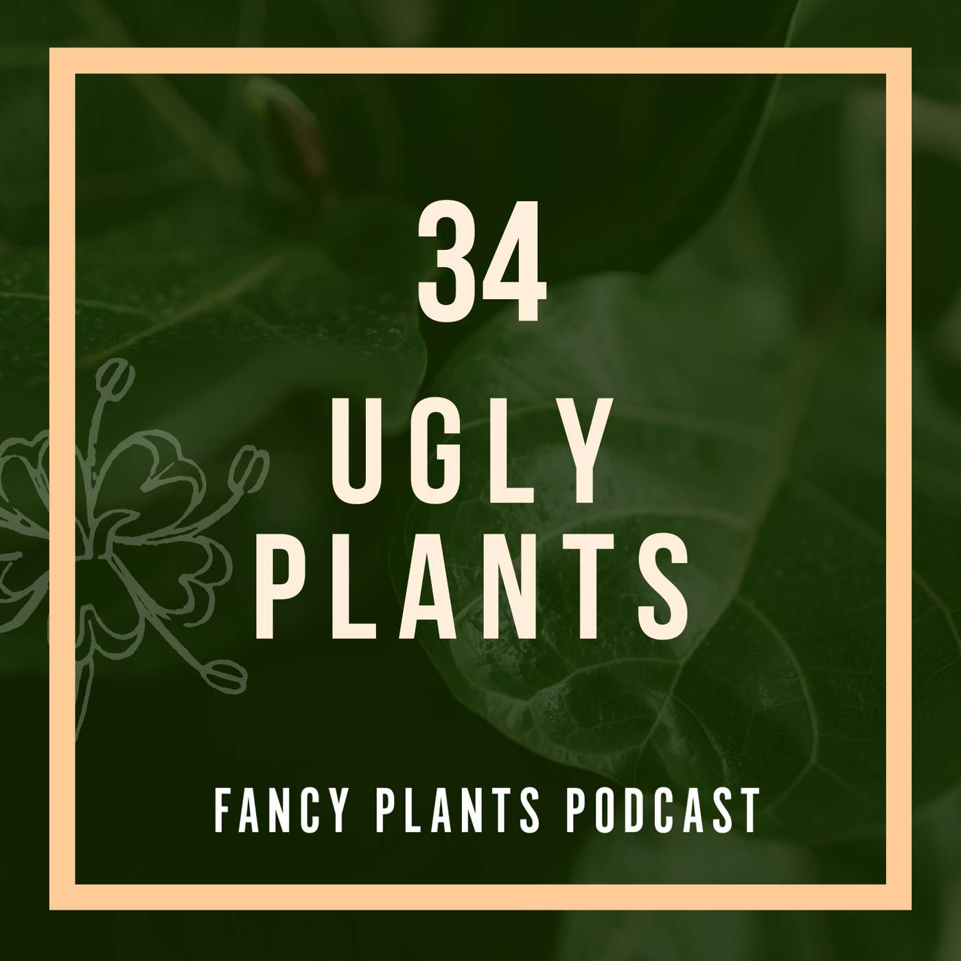 34. Ugly Plants 34. Ugly Plants