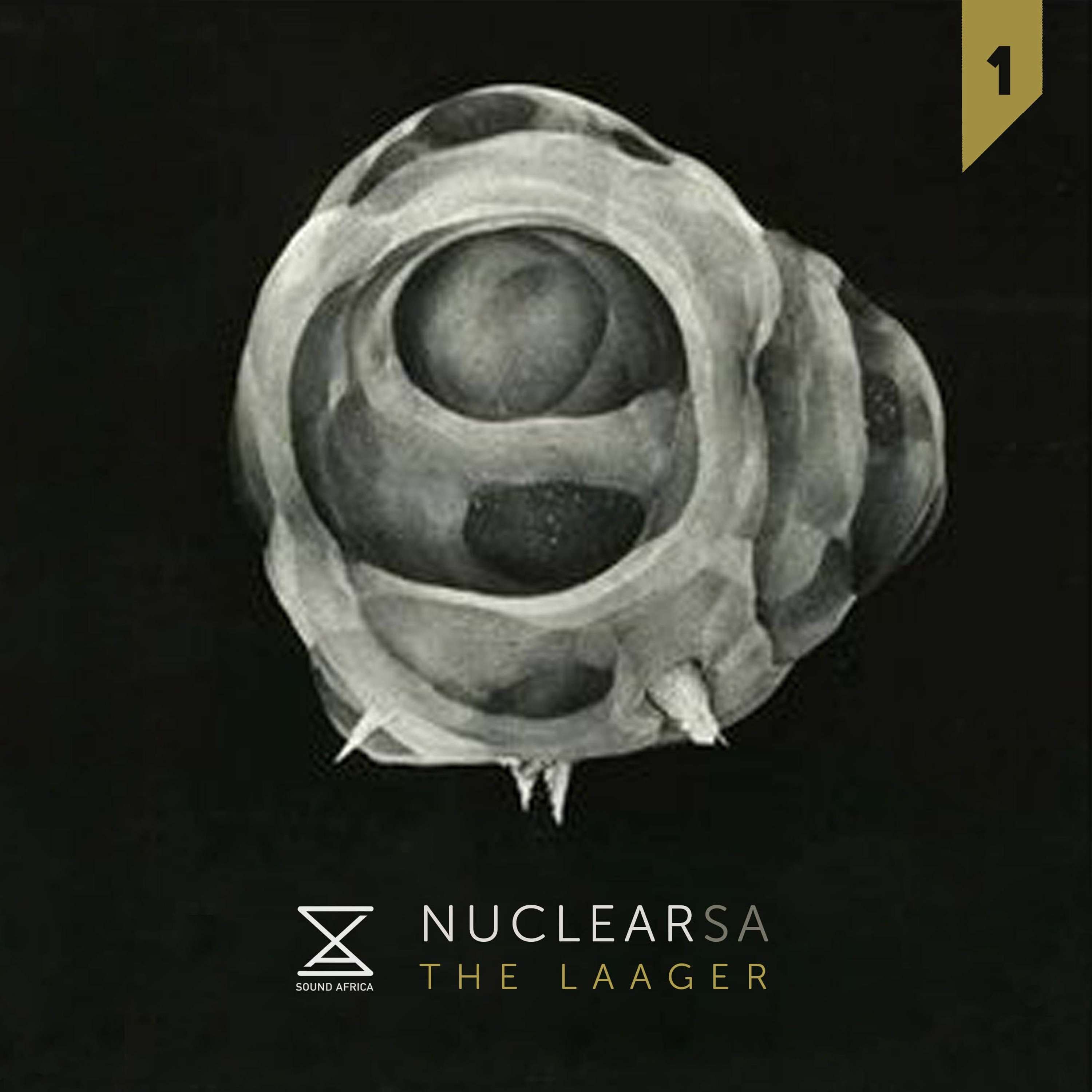 Nuclear SA: The Laager