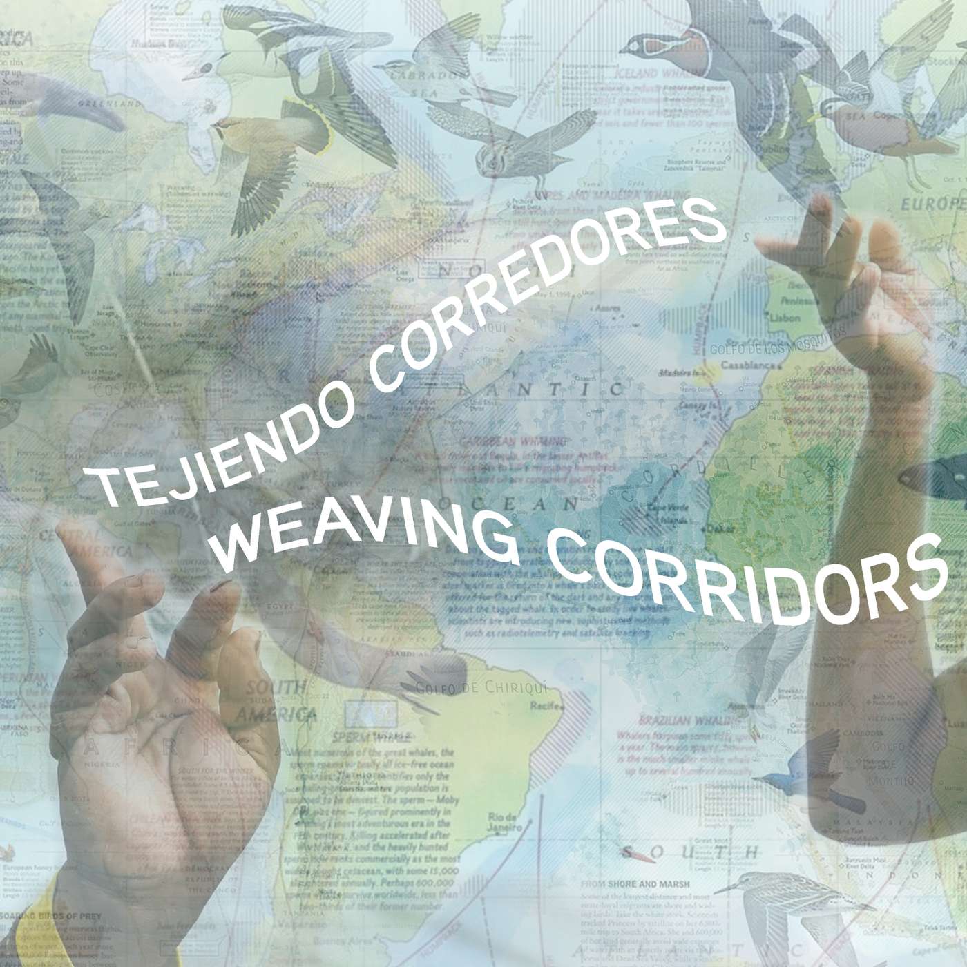 Tejiendo Corredores ~ Weaving Corridors