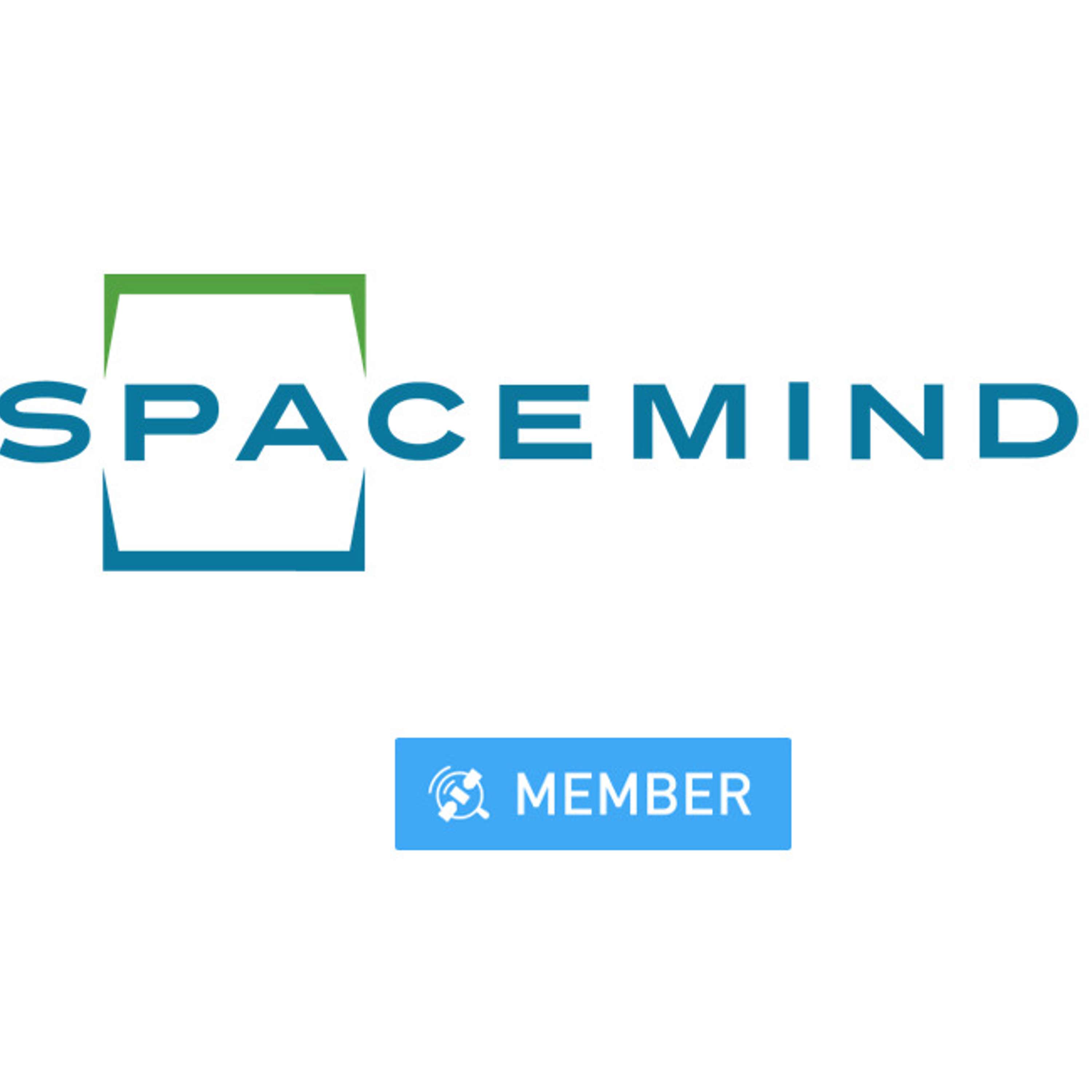 The Space Industry