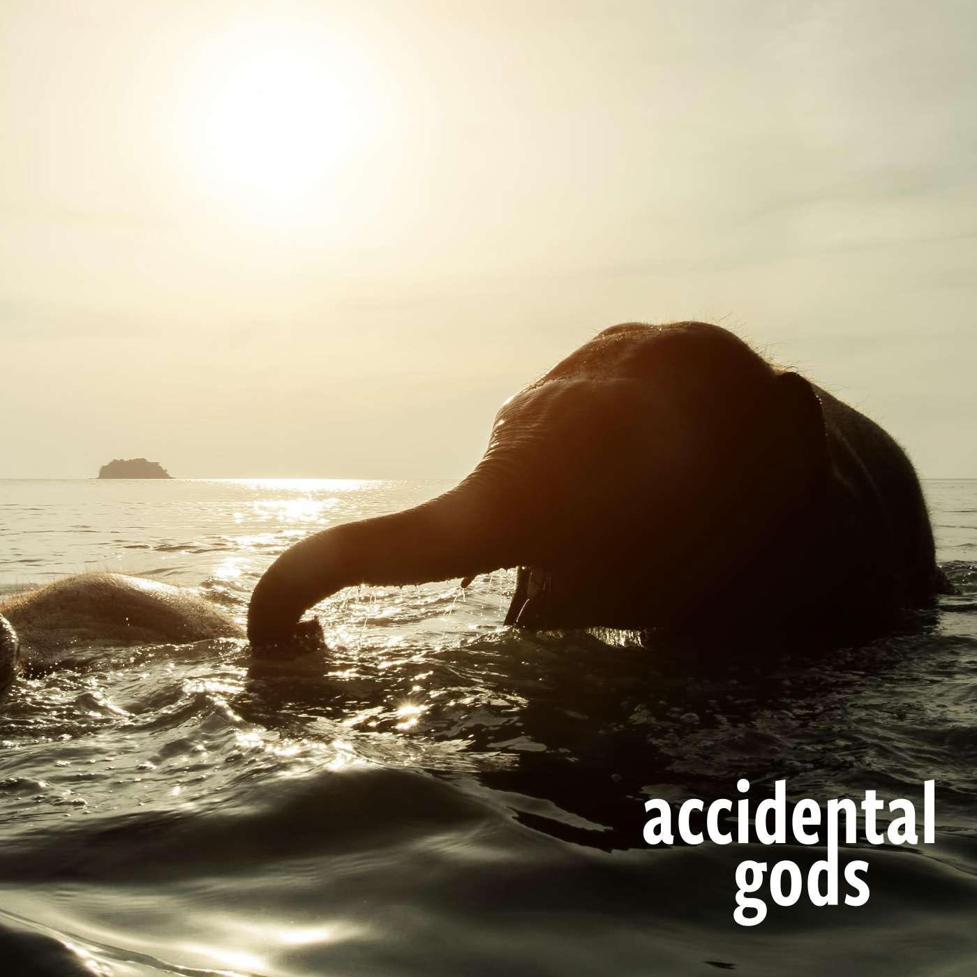 Accidental Gods