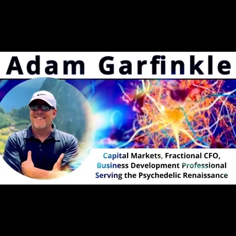 Adam Garfinkle - The Psychedelic Renaissance 
