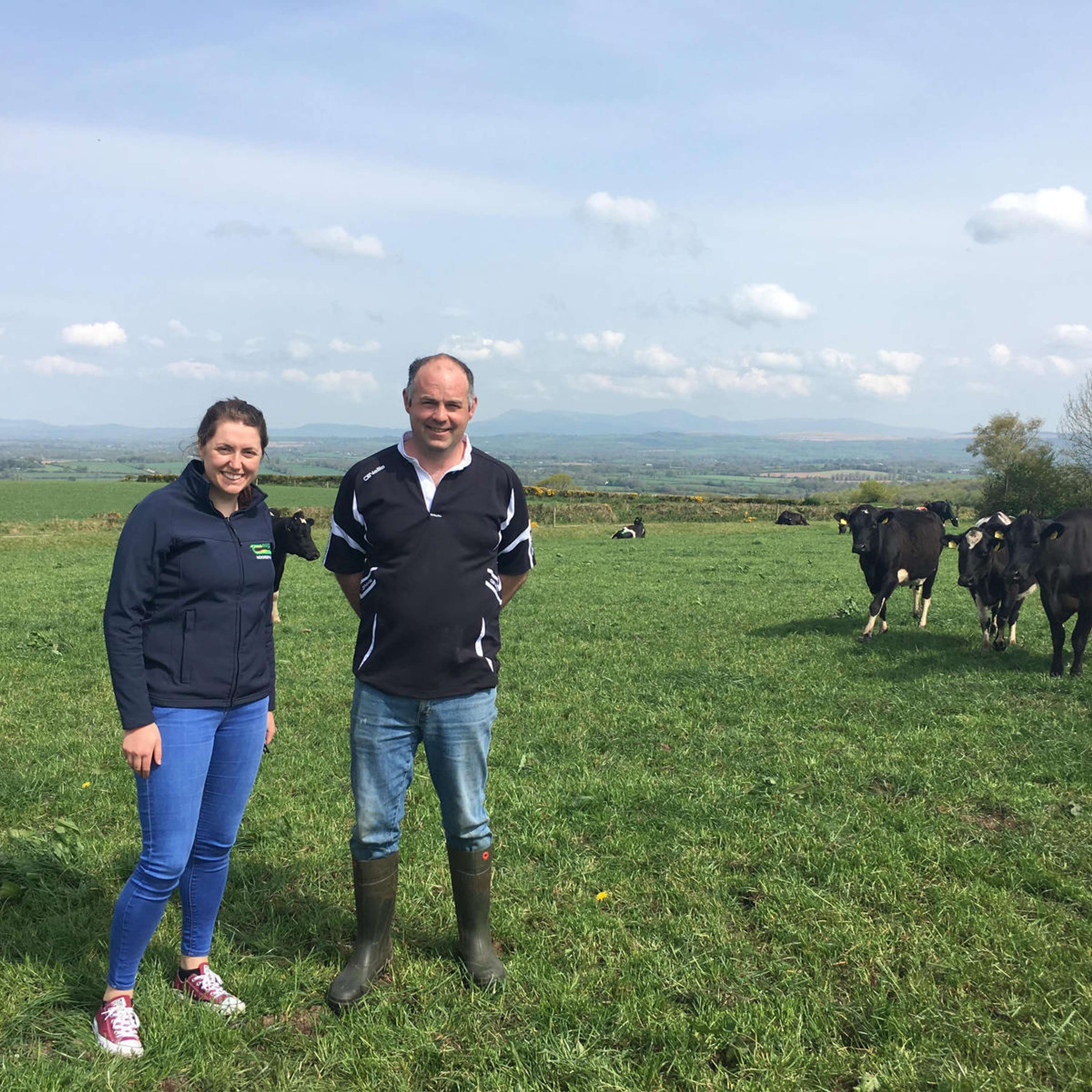 The Dairy Edge