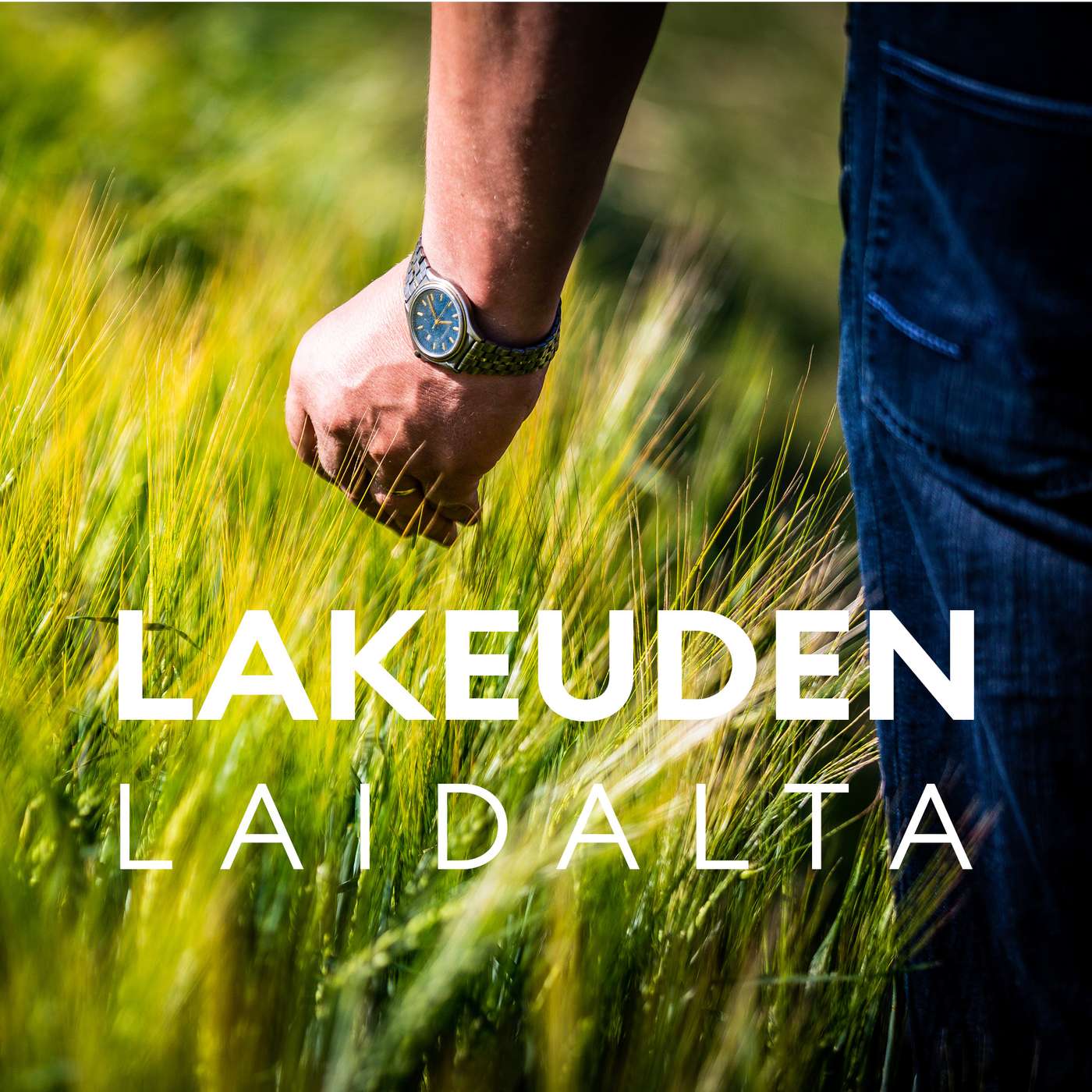 Lakeuden laidalta