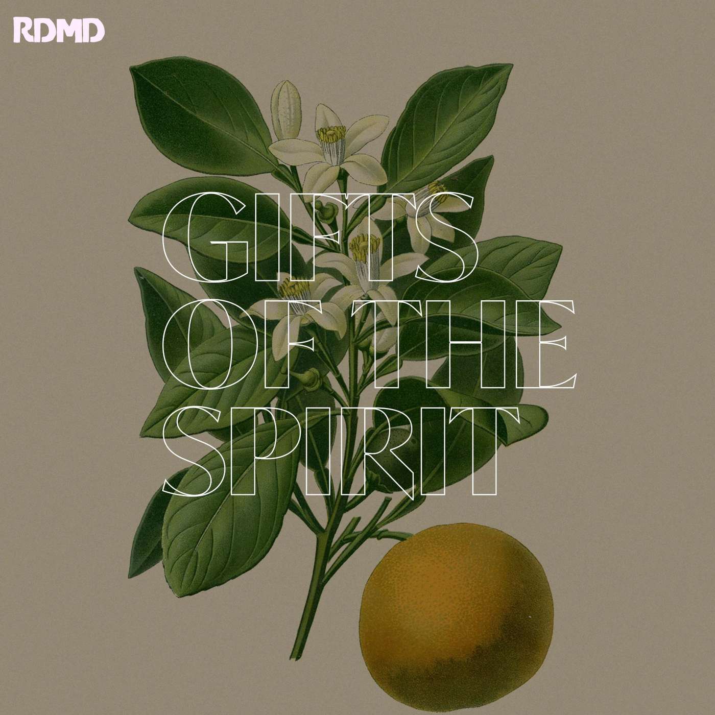 Fruits of the Holy Spirit pt.2 episode artwork