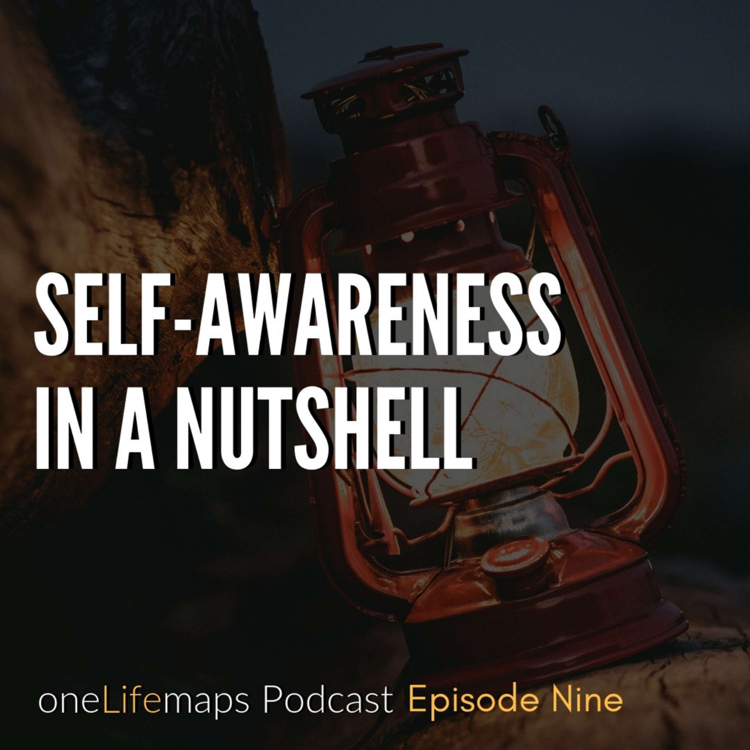 the REALIFE Practice Podcast