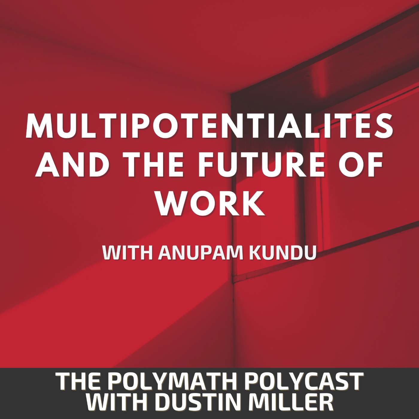 The Polymath PolyCast with Dustin PolyInnovator