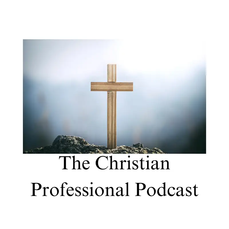 The Christian Professional 