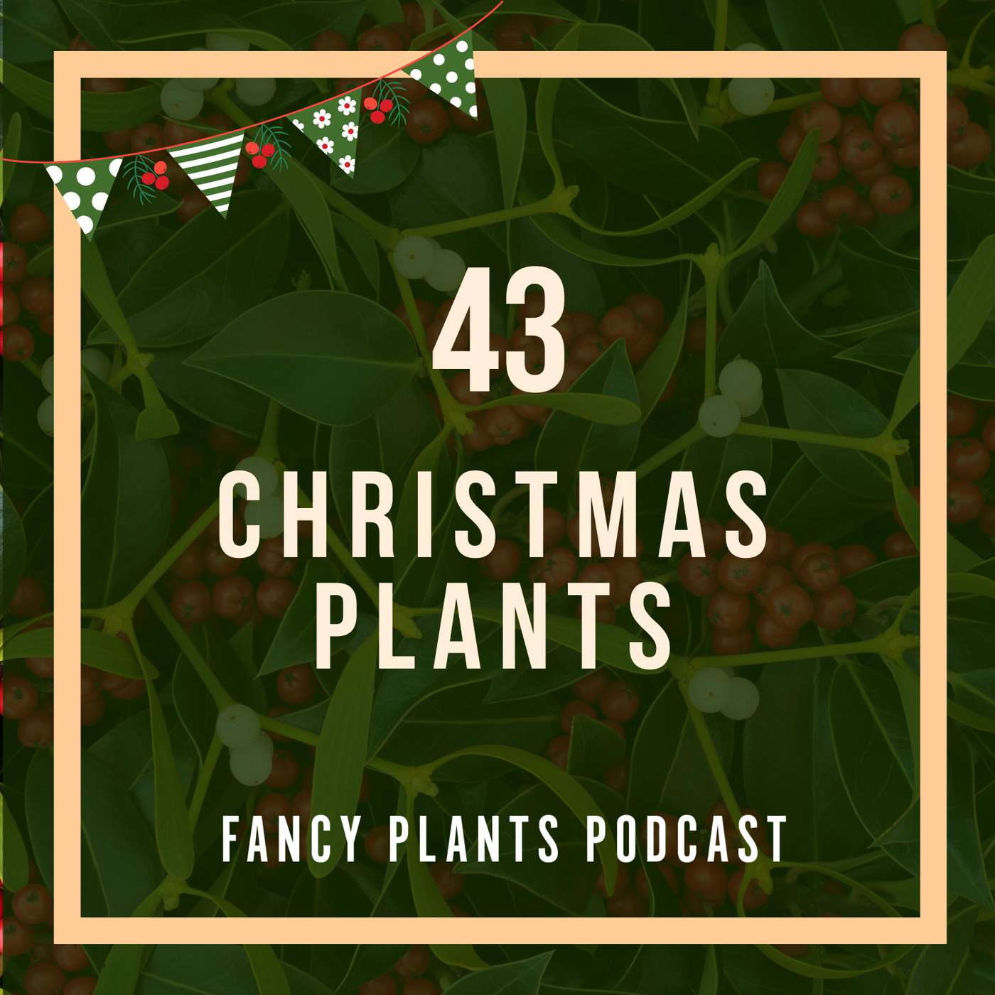43. Christmas Plants 43. Christmas Plants