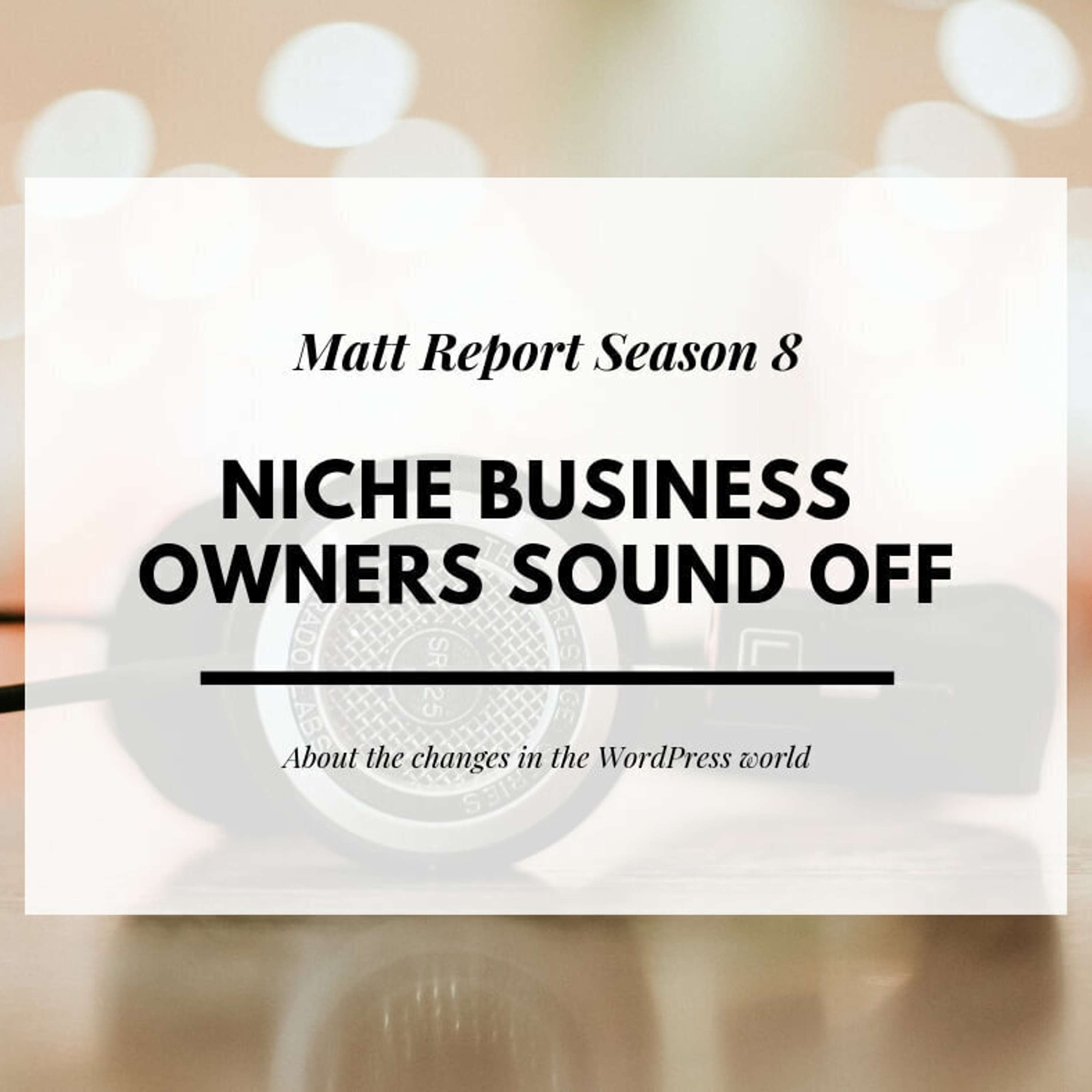 Matt Report