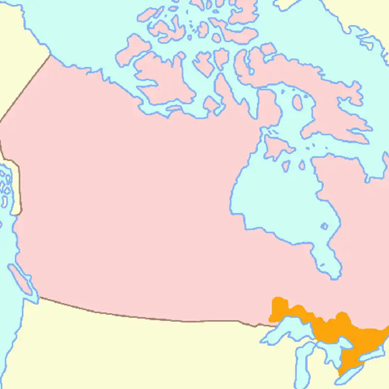 HISTOIRE - Les débuts du Haut-Canada, l'Ontario d'aujourd'hui
