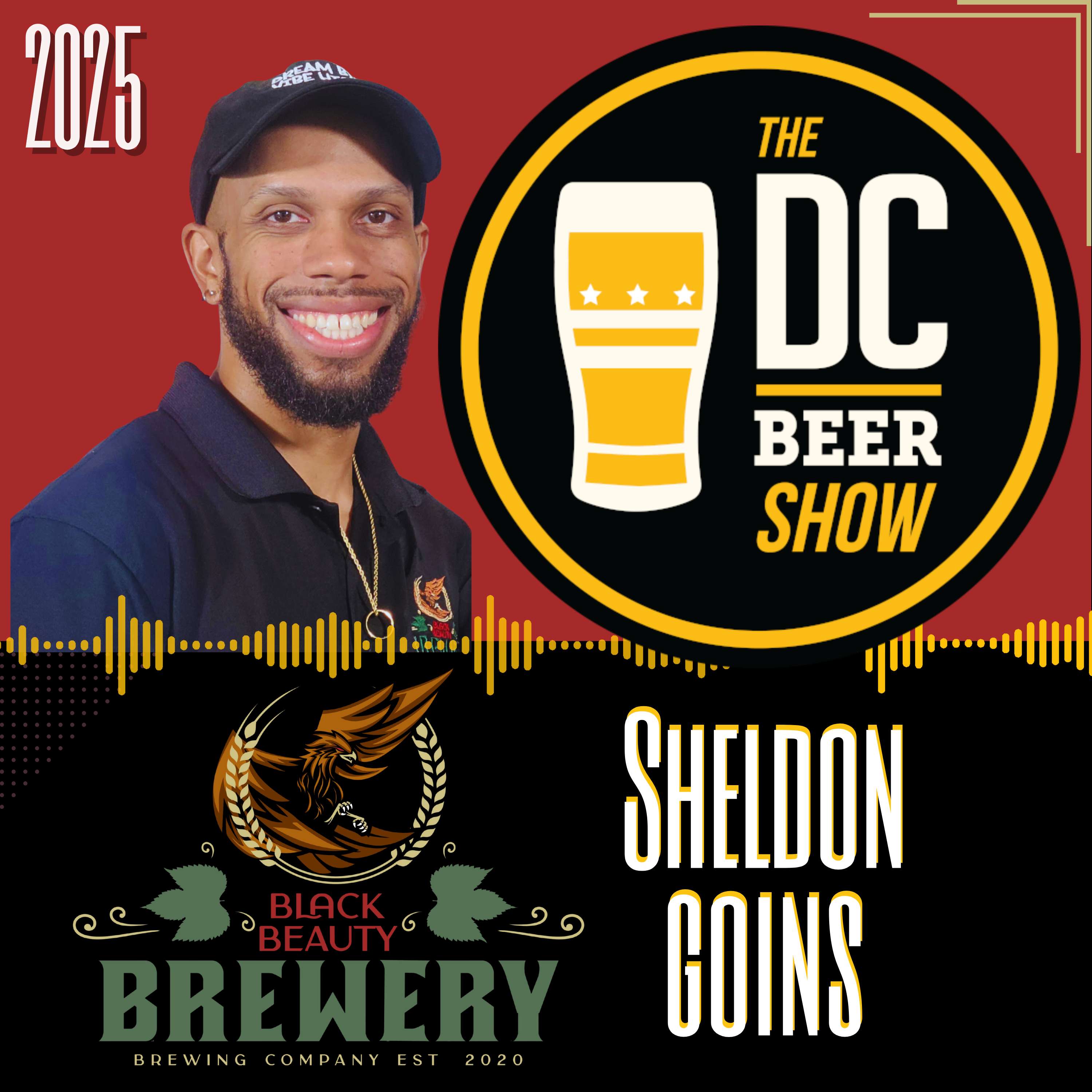 The DC Beer Show