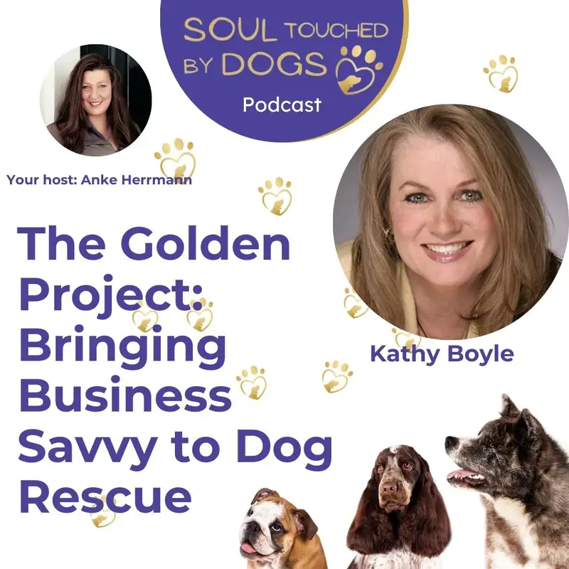 Kathy Boyle - The Golden Project: Bringing Business Savvy to Dog Rescue