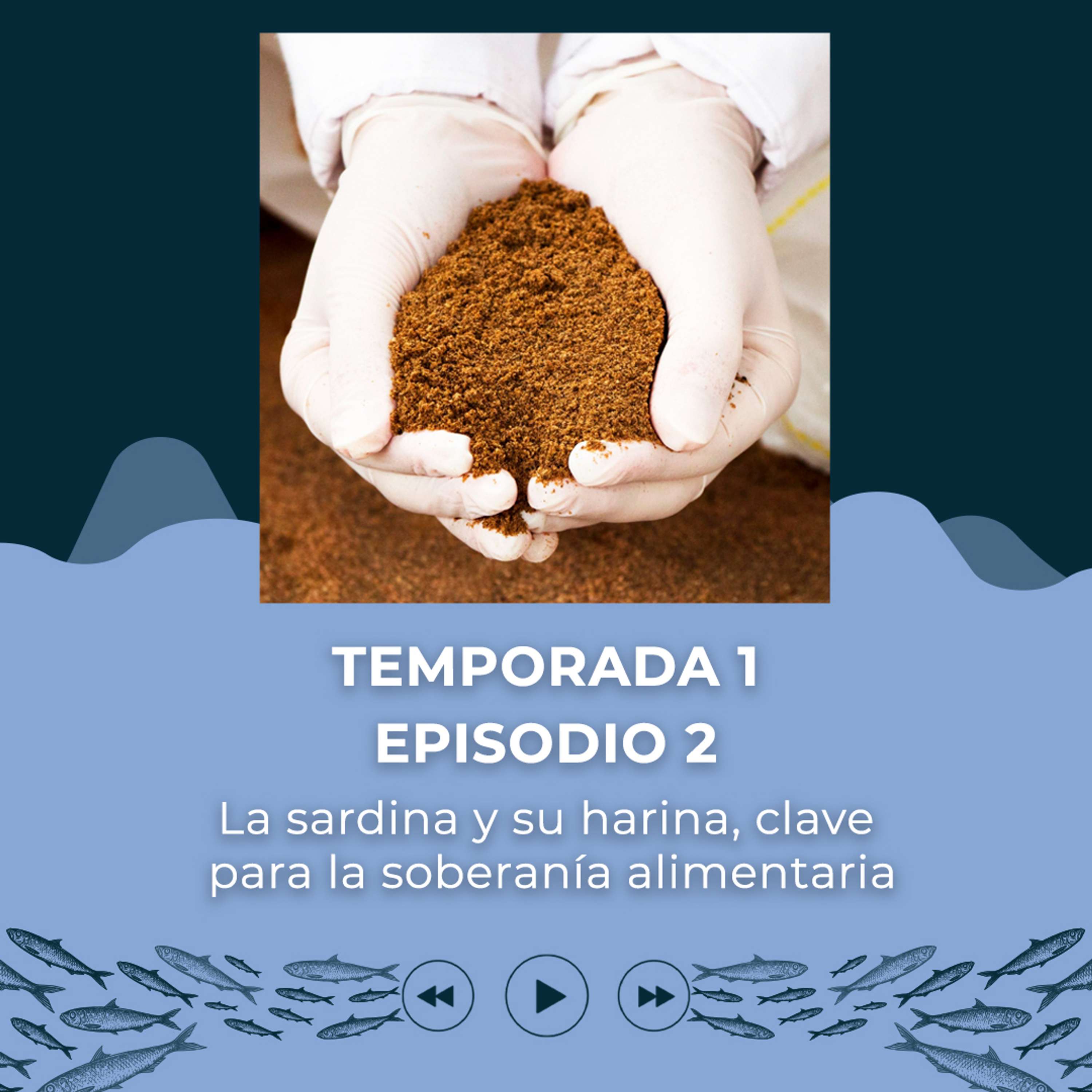Infosardina