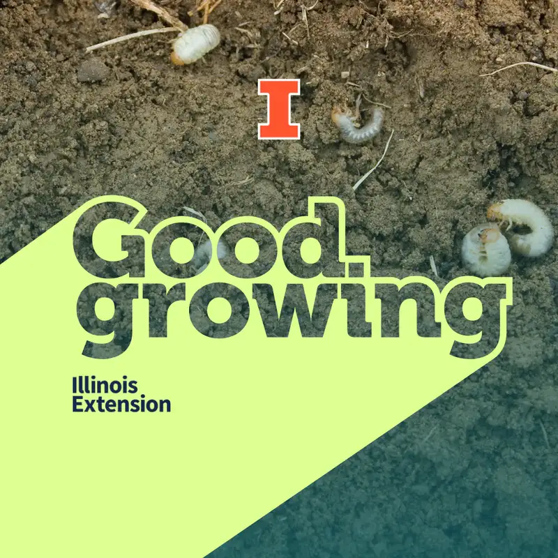 Ep. 191 Late Season Garden Updates & Fall Horticultural Questions Answered | #GoodGrowing