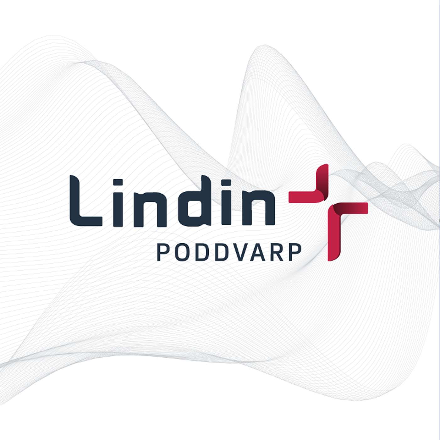 Leiðsla í samkomum/kirkjum