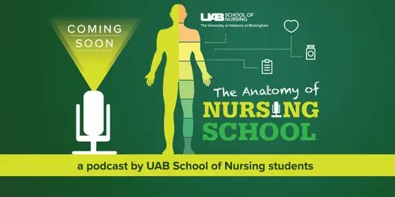  Anatomy of Nursing School