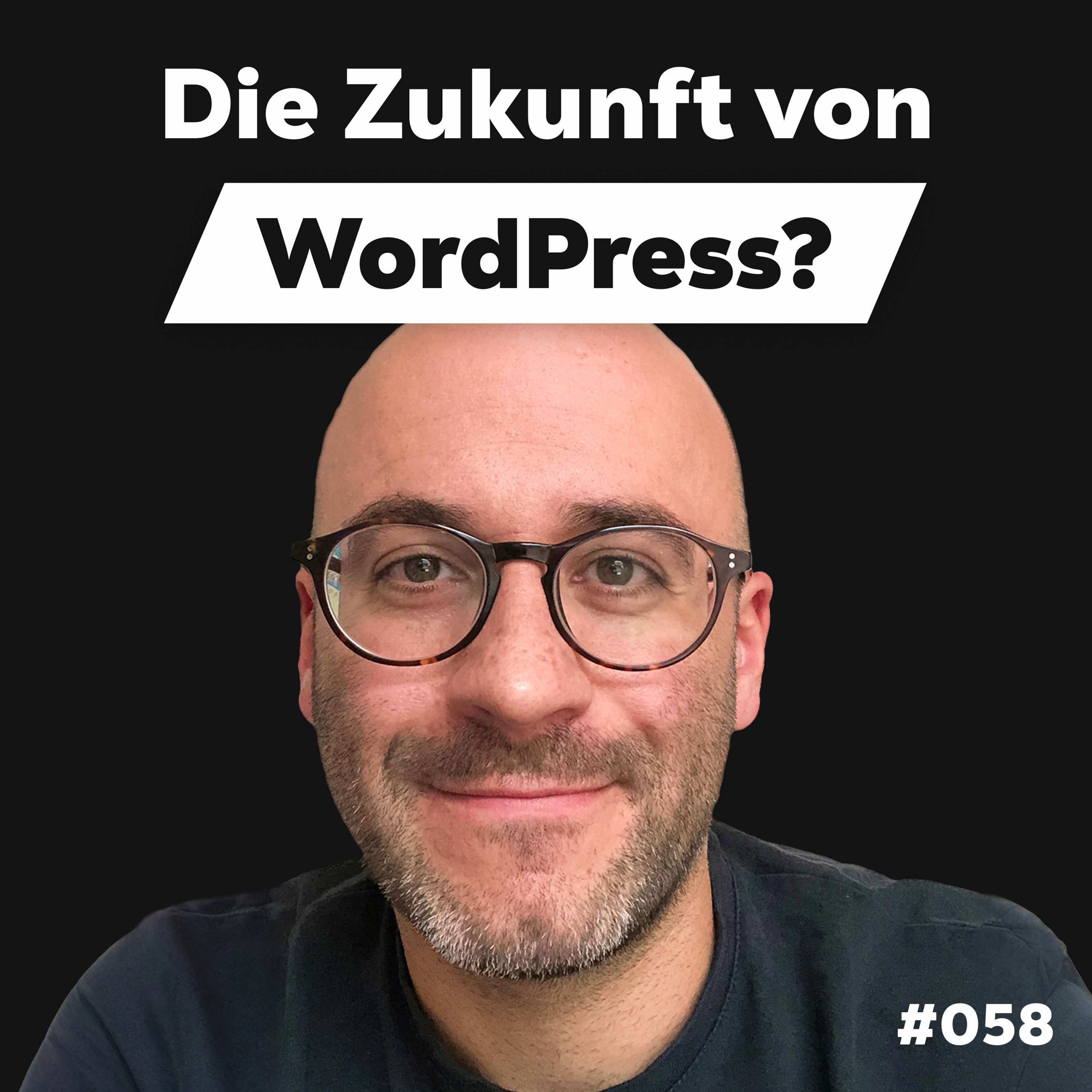 Die Dominik Liss Show (WordPress & Business Talks)